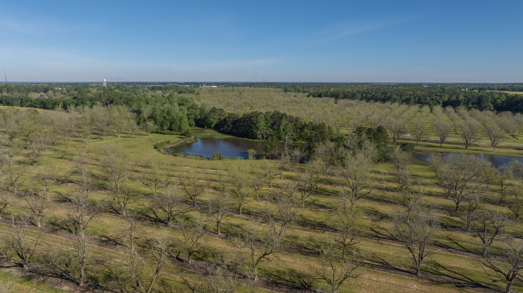 Image for 103+/- Acres - The Hand Tract - Weybrenee Farms
