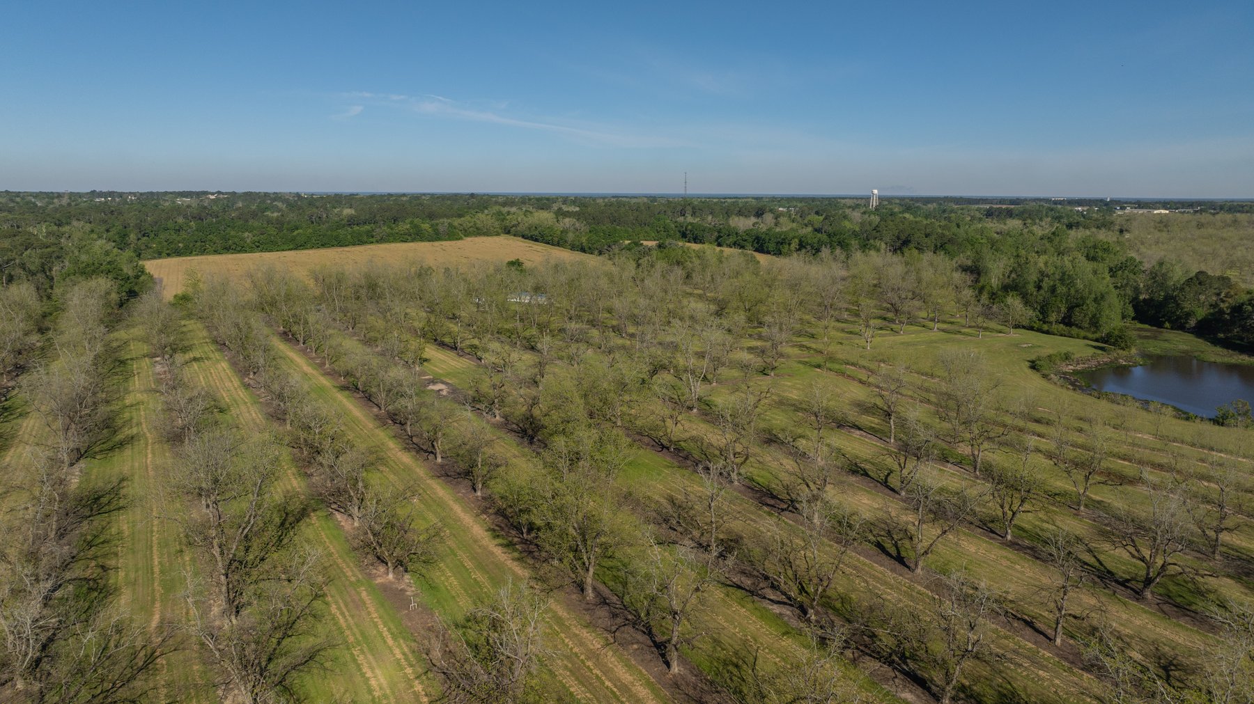 Image for 103+/- Acres - The Hand Tract - Weybrenee Farms