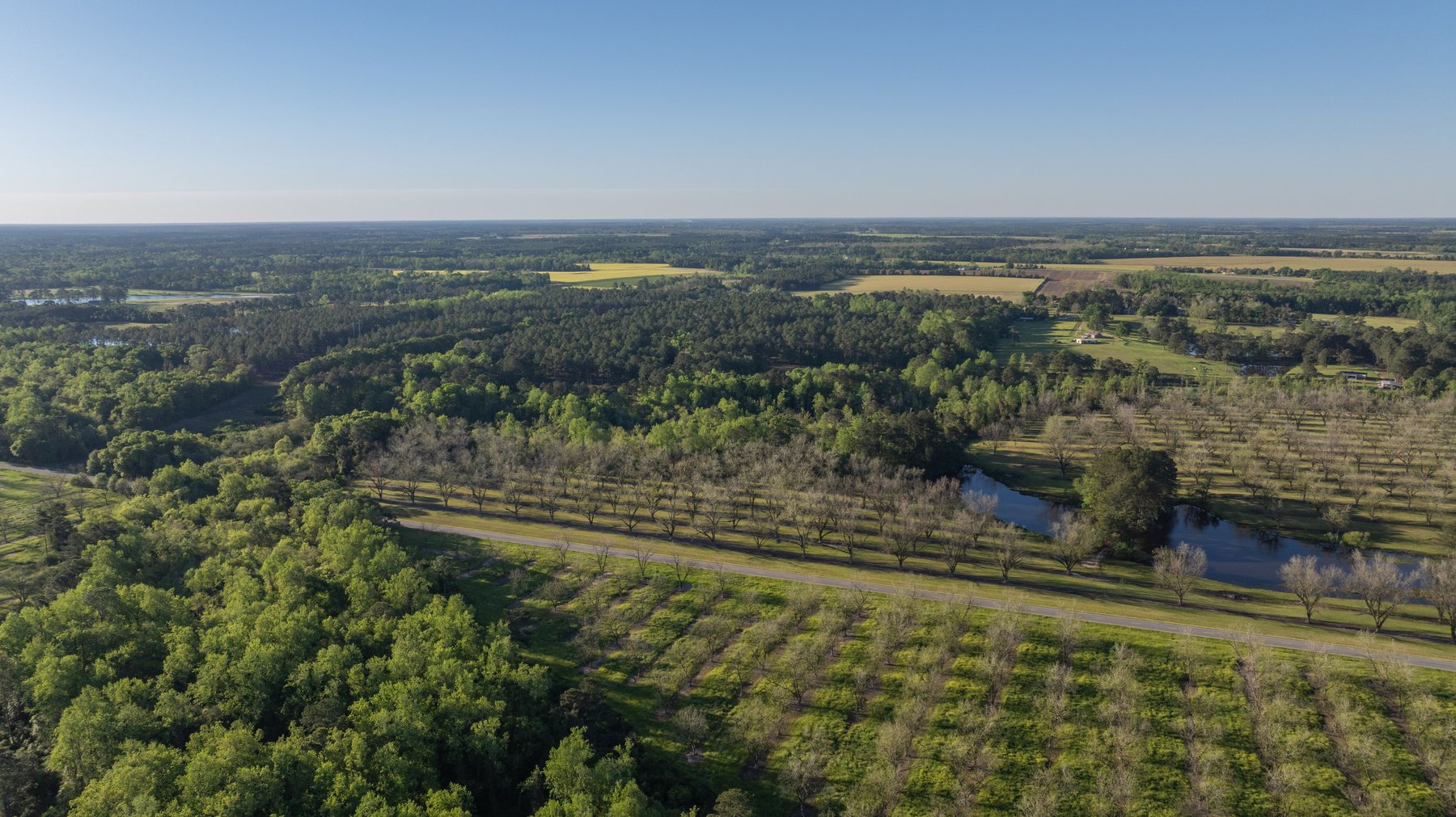 Image for 103+/- Acres - The Hand Tract - Weybrenee Farms