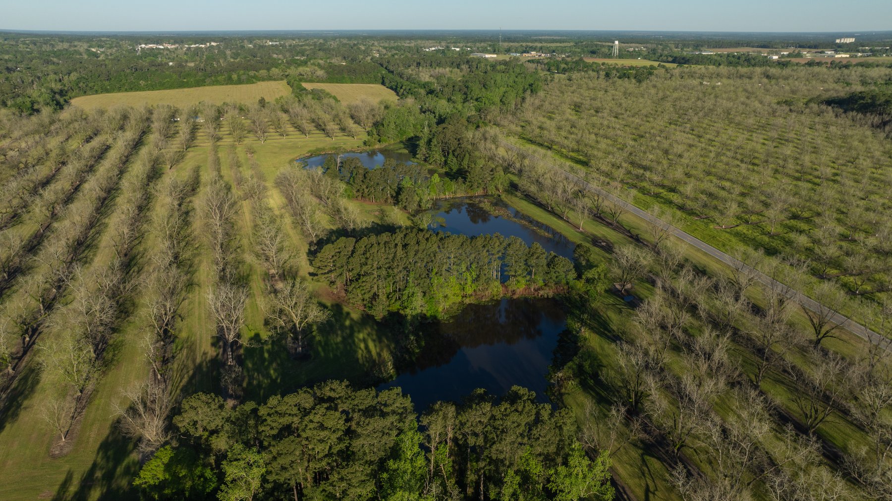 Image for 103+/- Acres - The Hand Tract - Weybrenee Farms