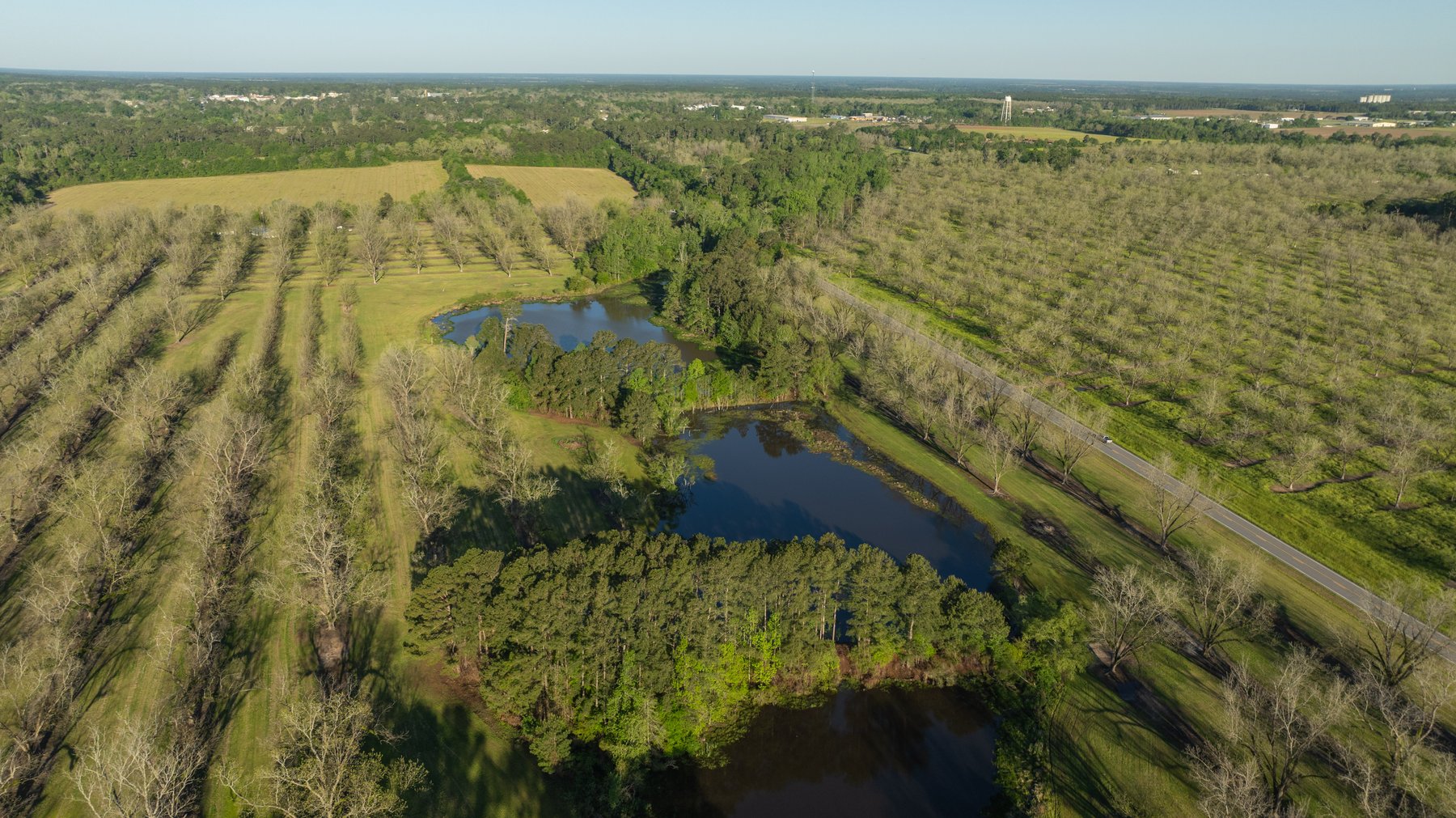 Image for 103+/- Acres - The Hand Tract - Weybrenee Farms