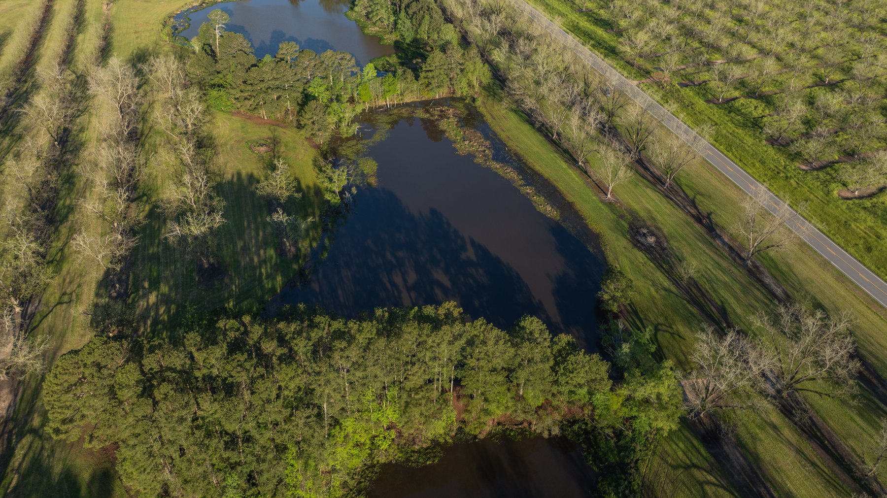 Image for 103+/- Acres - The Hand Tract - Weybrenee Farms