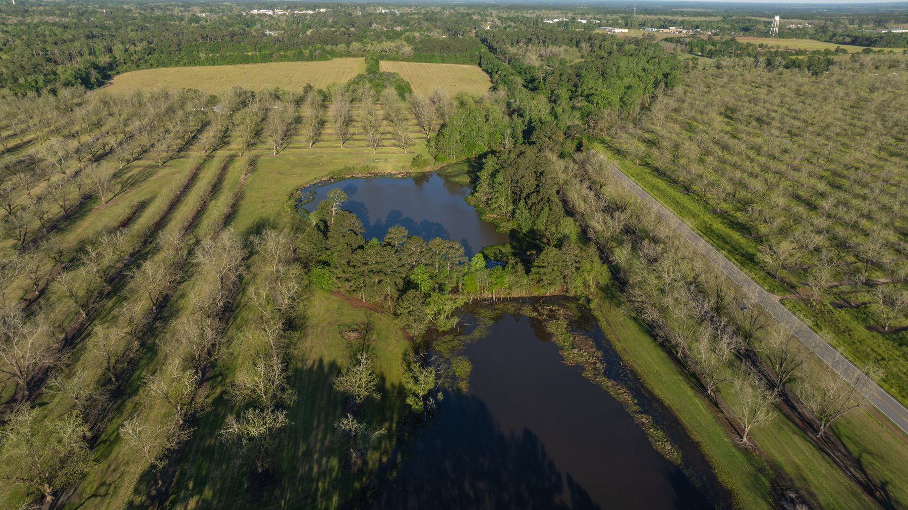 Image for 103+/- Acres - The Hand Tract - Weybrenee Farms