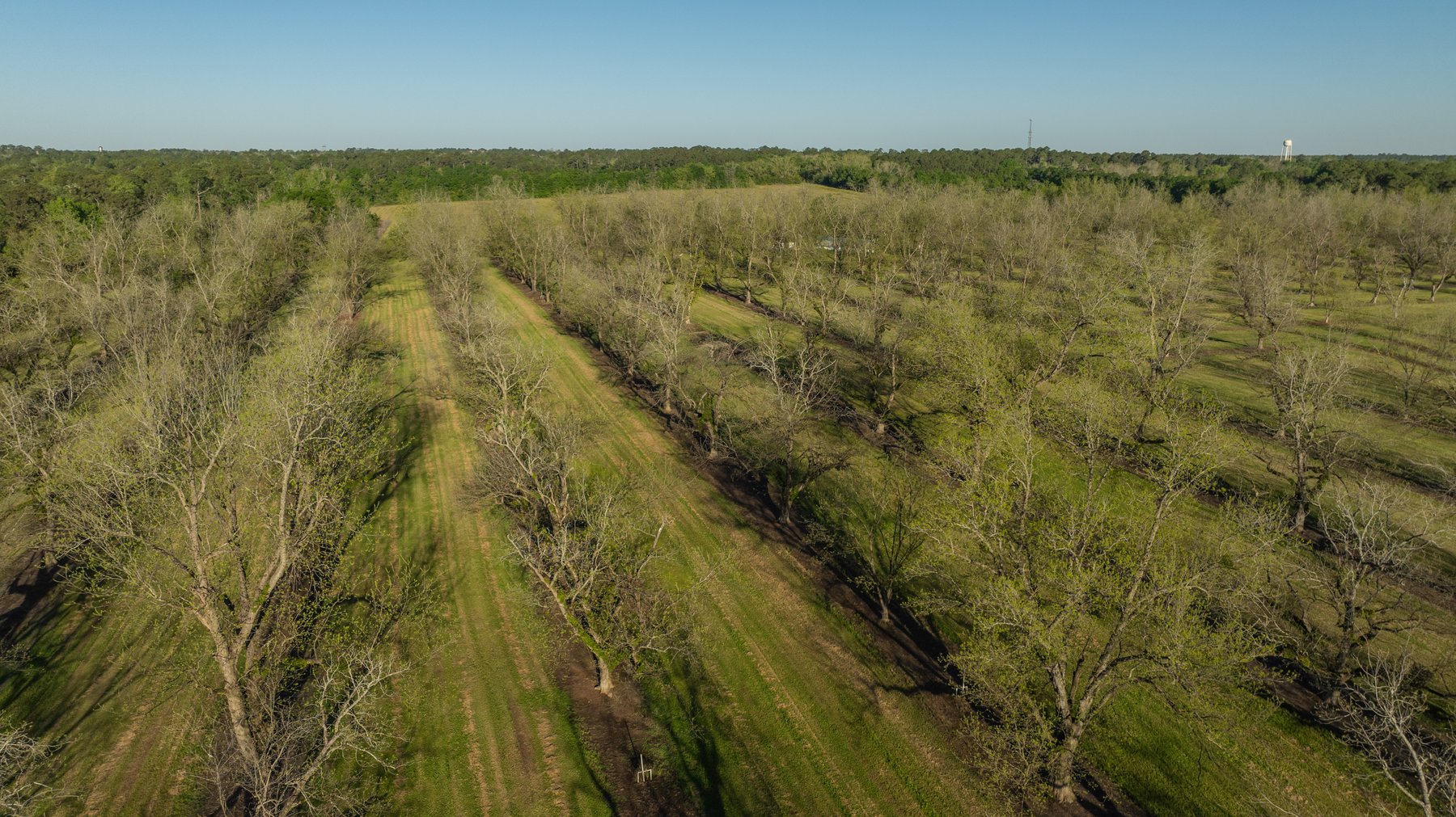 Image for 103+/- Acres - The Hand Tract - Weybrenee Farms