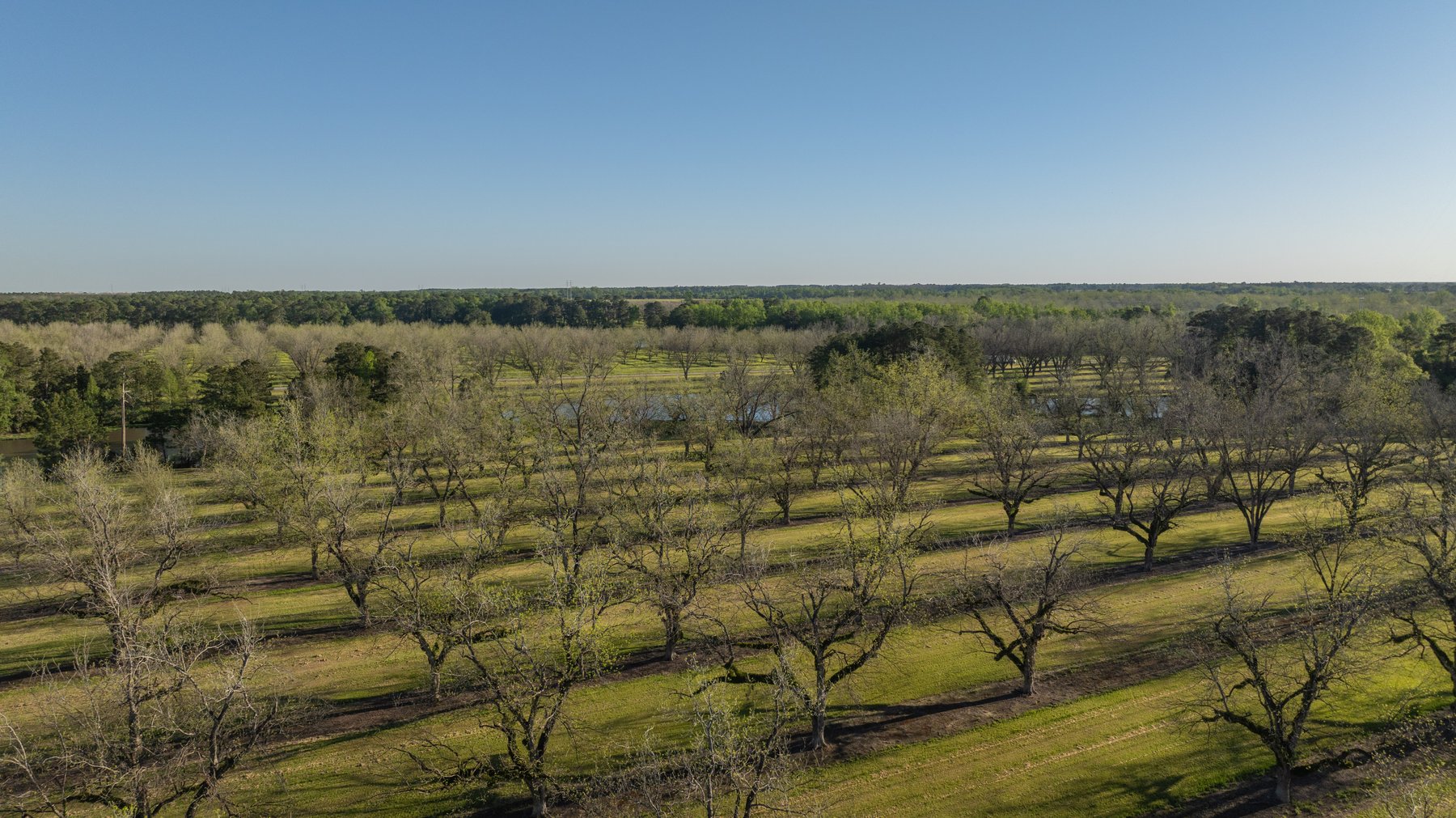 Image for 103+/- Acres - The Hand Tract - Weybrenee Farms