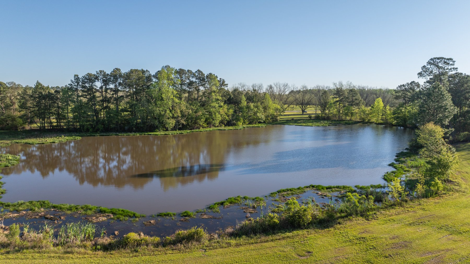 Image for 103+/- Acres - The Hand Tract - Weybrenee Farms