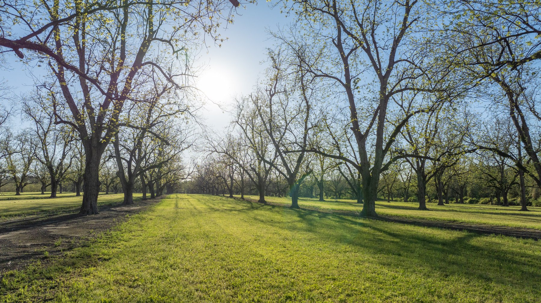 Image for 103+/- Acres - The Hand Tract - Weybrenee Farms