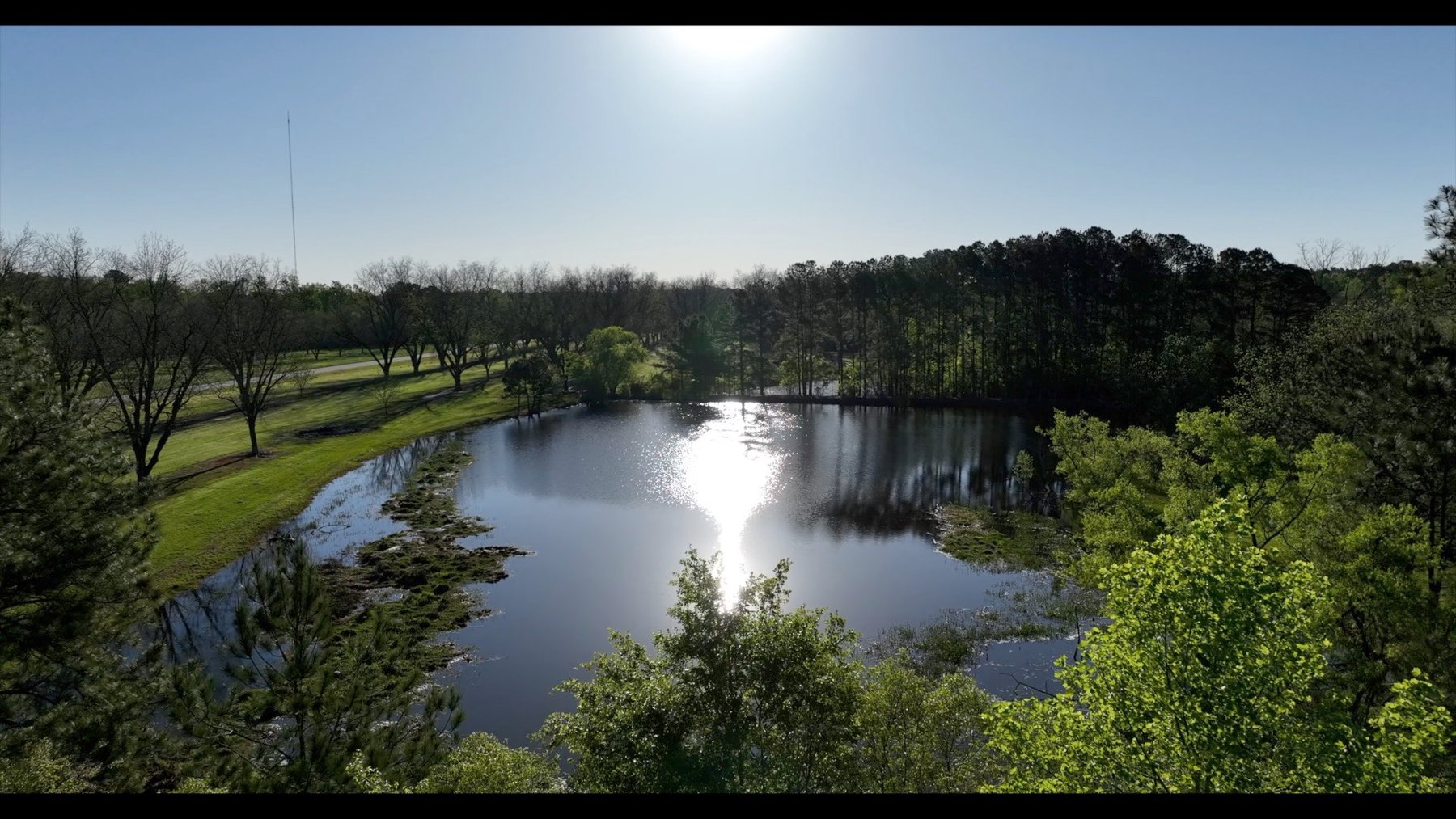 Image for 103+/- Acres - The Hand Tract - Weybrenee Farms