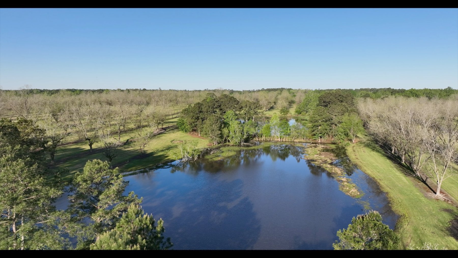 Image for 103+/- Acres - The Hand Tract - Weybrenee Farms