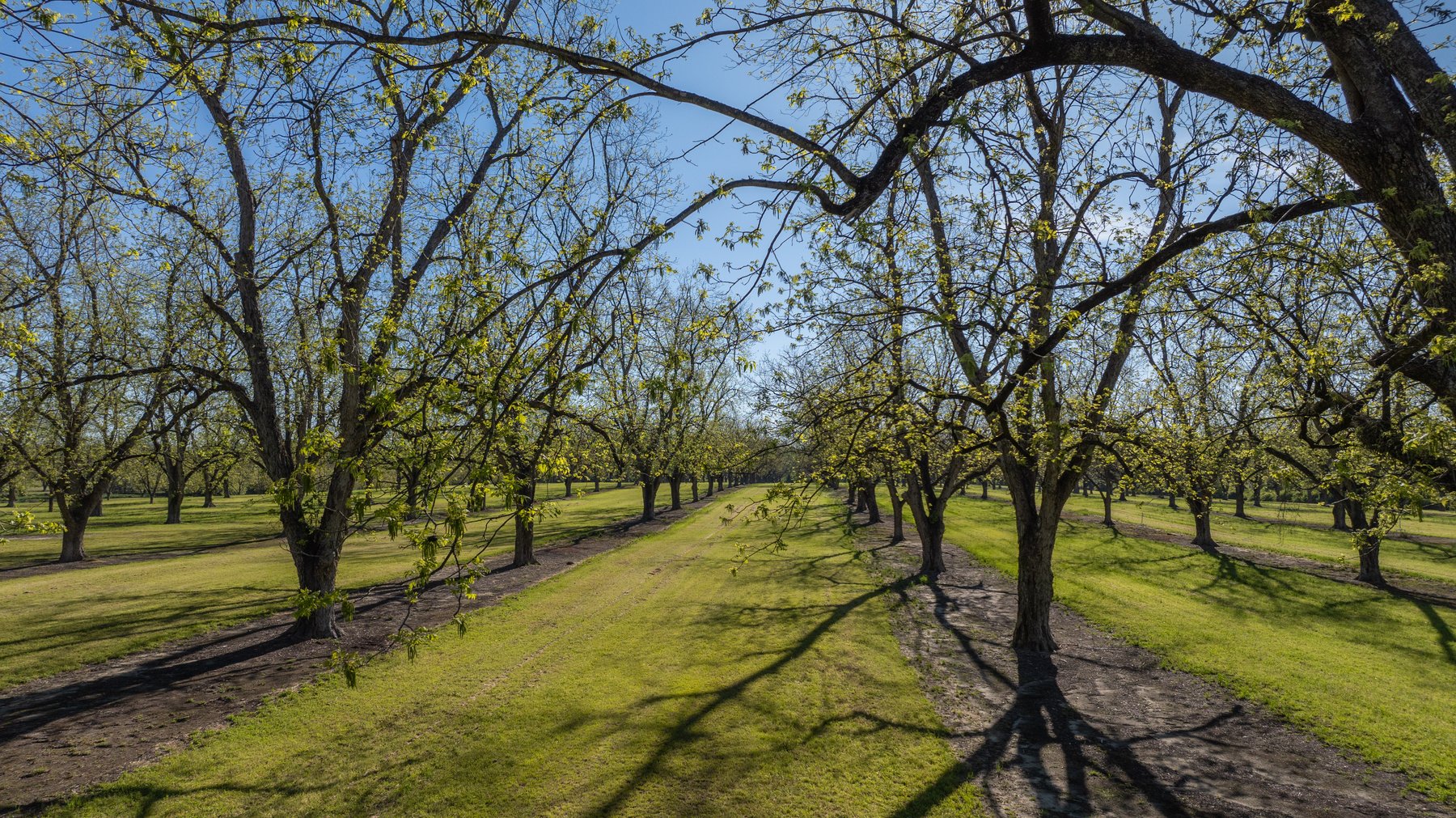Image for 103+/- Acres - The Hand Tract - Weybrenee Farms