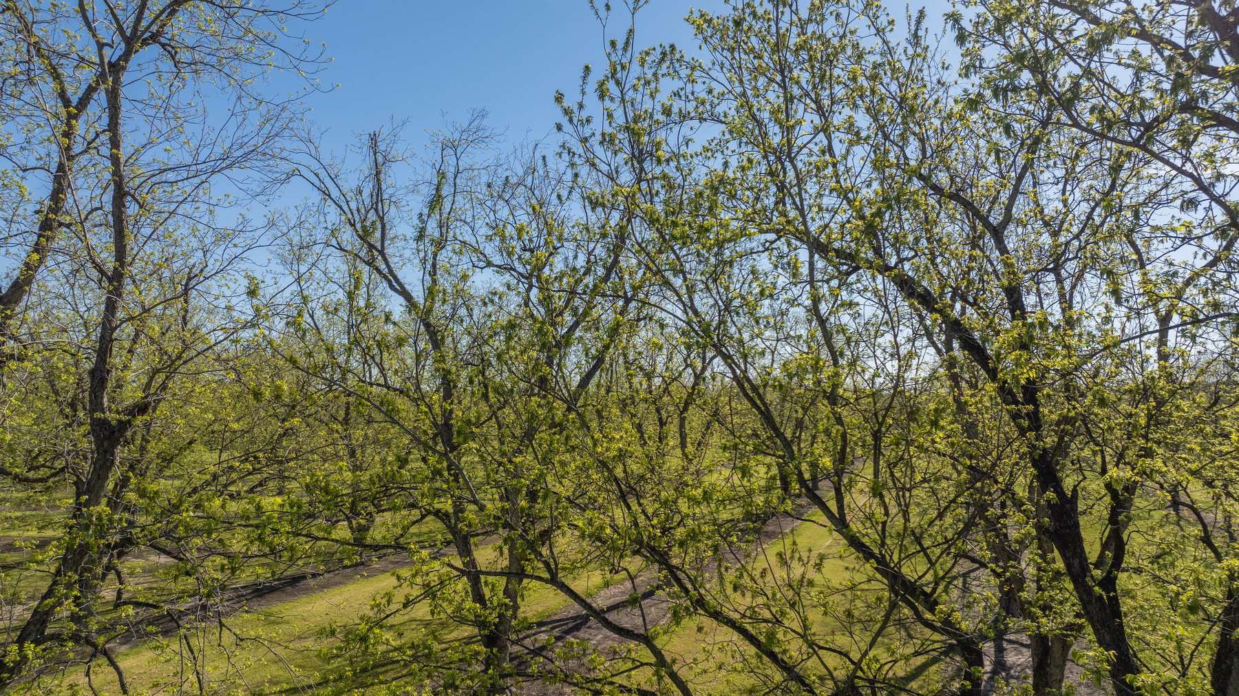 Image for 103+/- Acres - The Hand Tract - Weybrenee Farms