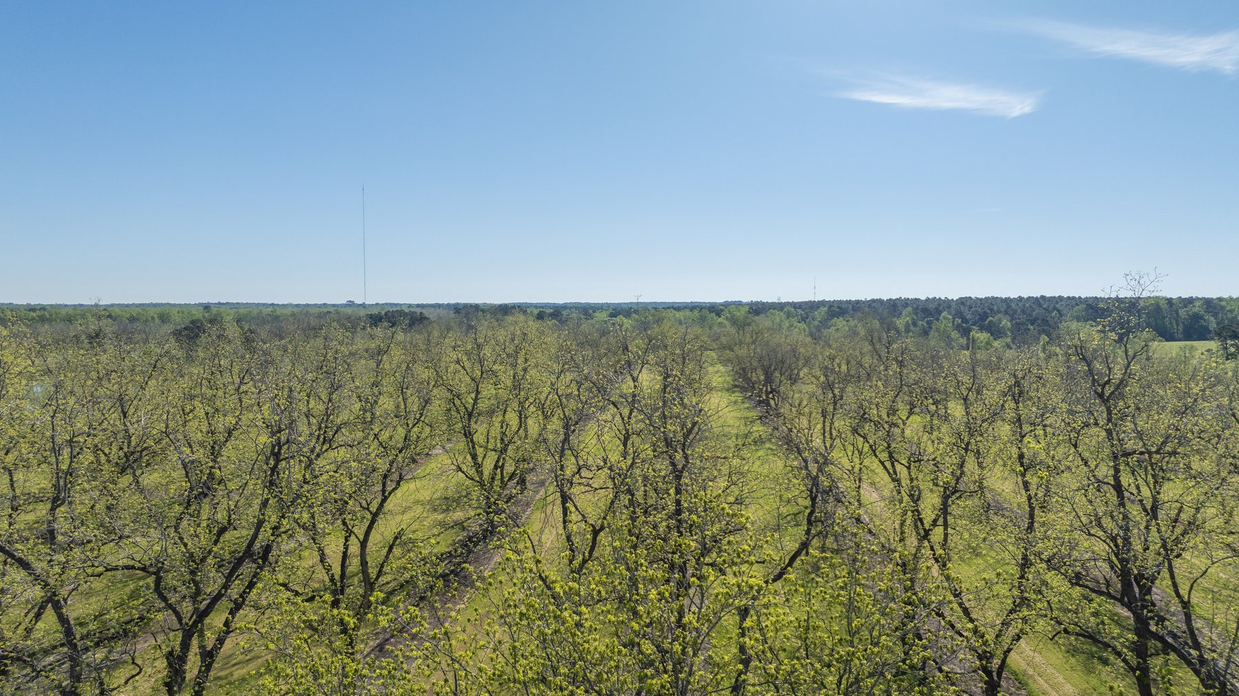 Image for 103+/- Acres - The Hand Tract - Weybrenee Farms
