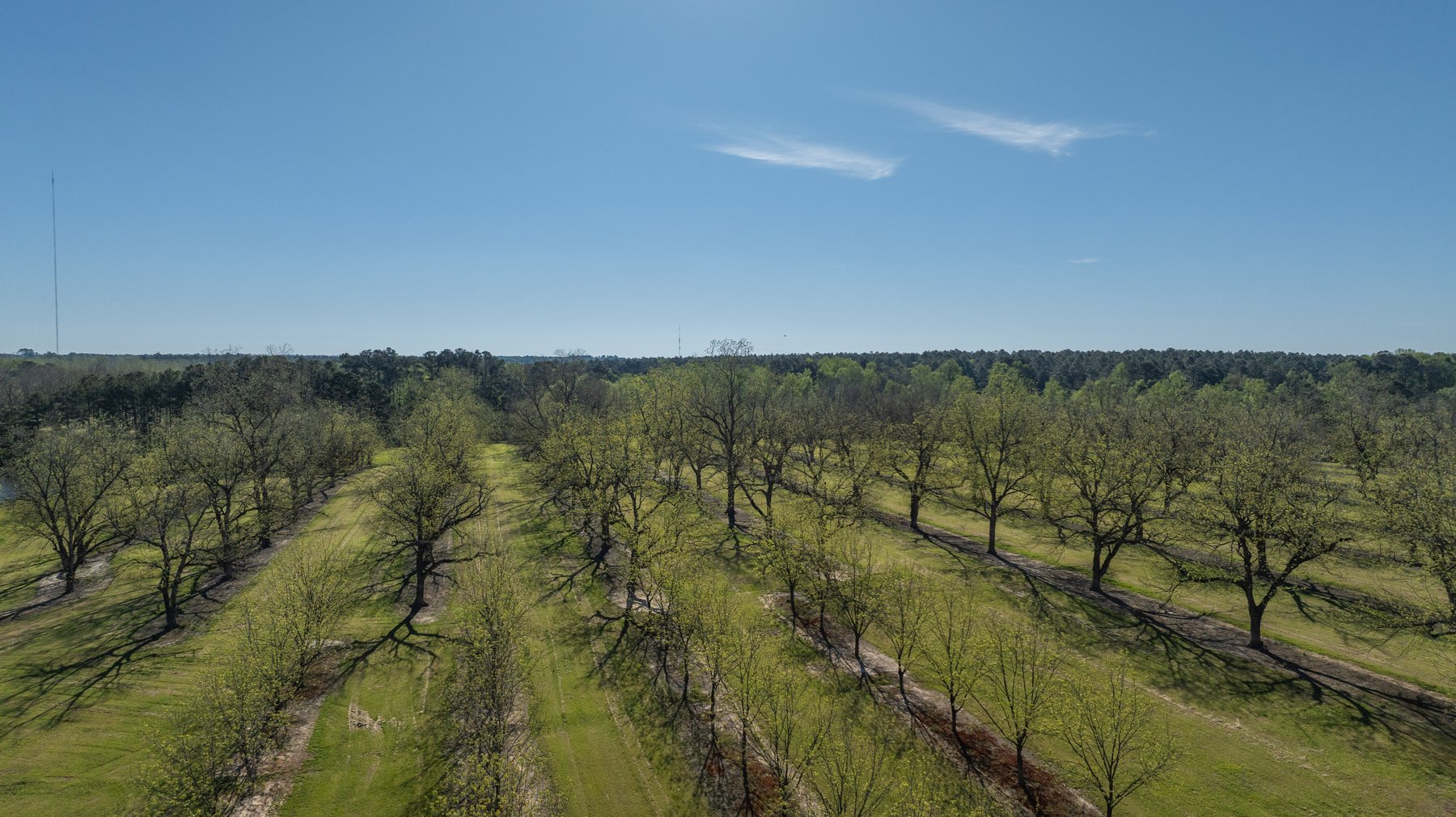 Image for 103+/- Acres - The Hand Tract - Weybrenee Farms