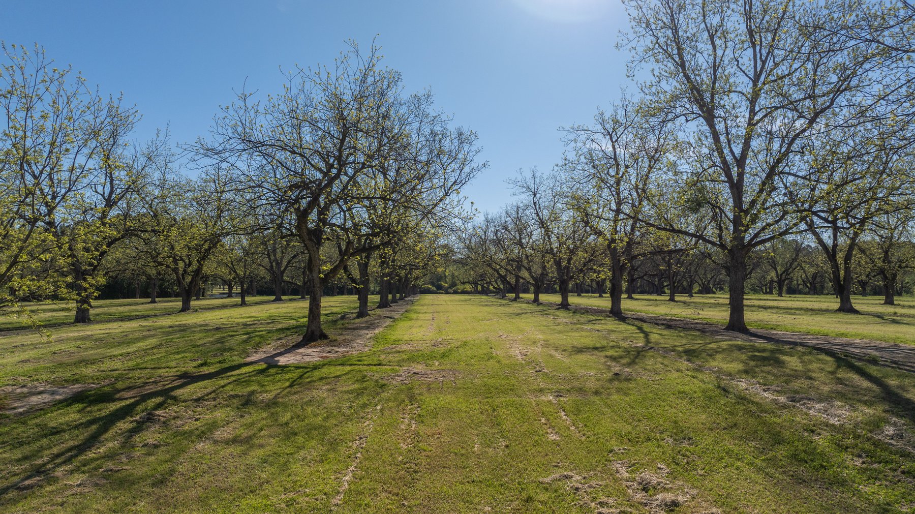 Image for 103+/- Acres - The Hand Tract - Weybrenee Farms