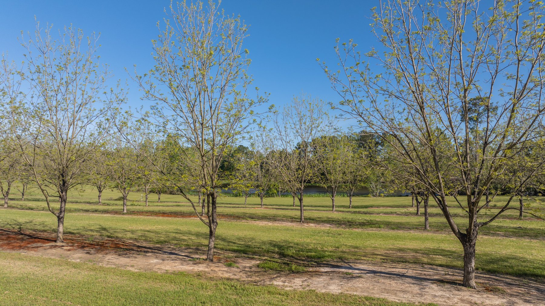 Image for 103+/- Acres - The Hand Tract - Weybrenee Farms