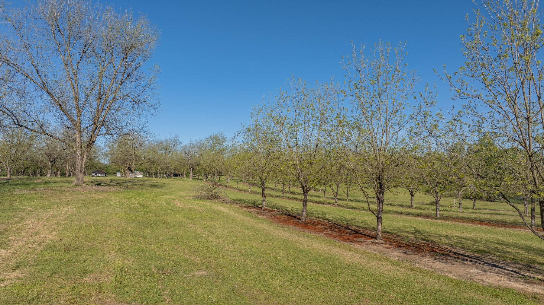 Image for 103+/- Acres - The Hand Tract - Weybrenee Farms