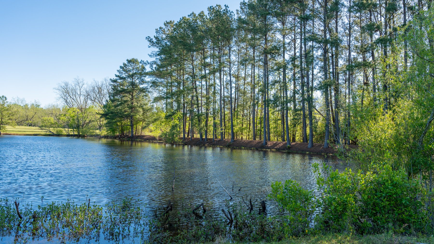 Image for 103+/- Acres - The Hand Tract - Weybrenee Farms