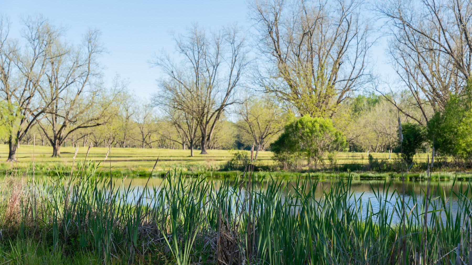 Image for 103+/- Acres - The Hand Tract - Weybrenee Farms