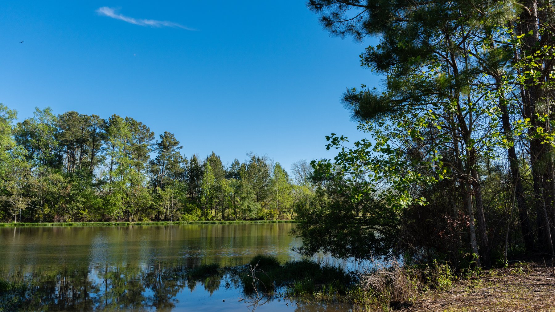 Image for 103+/- Acres - The Hand Tract - Weybrenee Farms