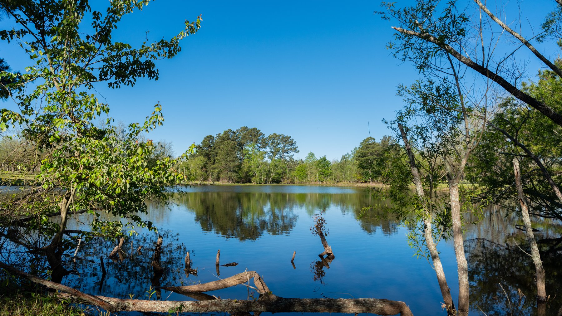Image for 103+/- Acres - The Hand Tract - Weybrenee Farms