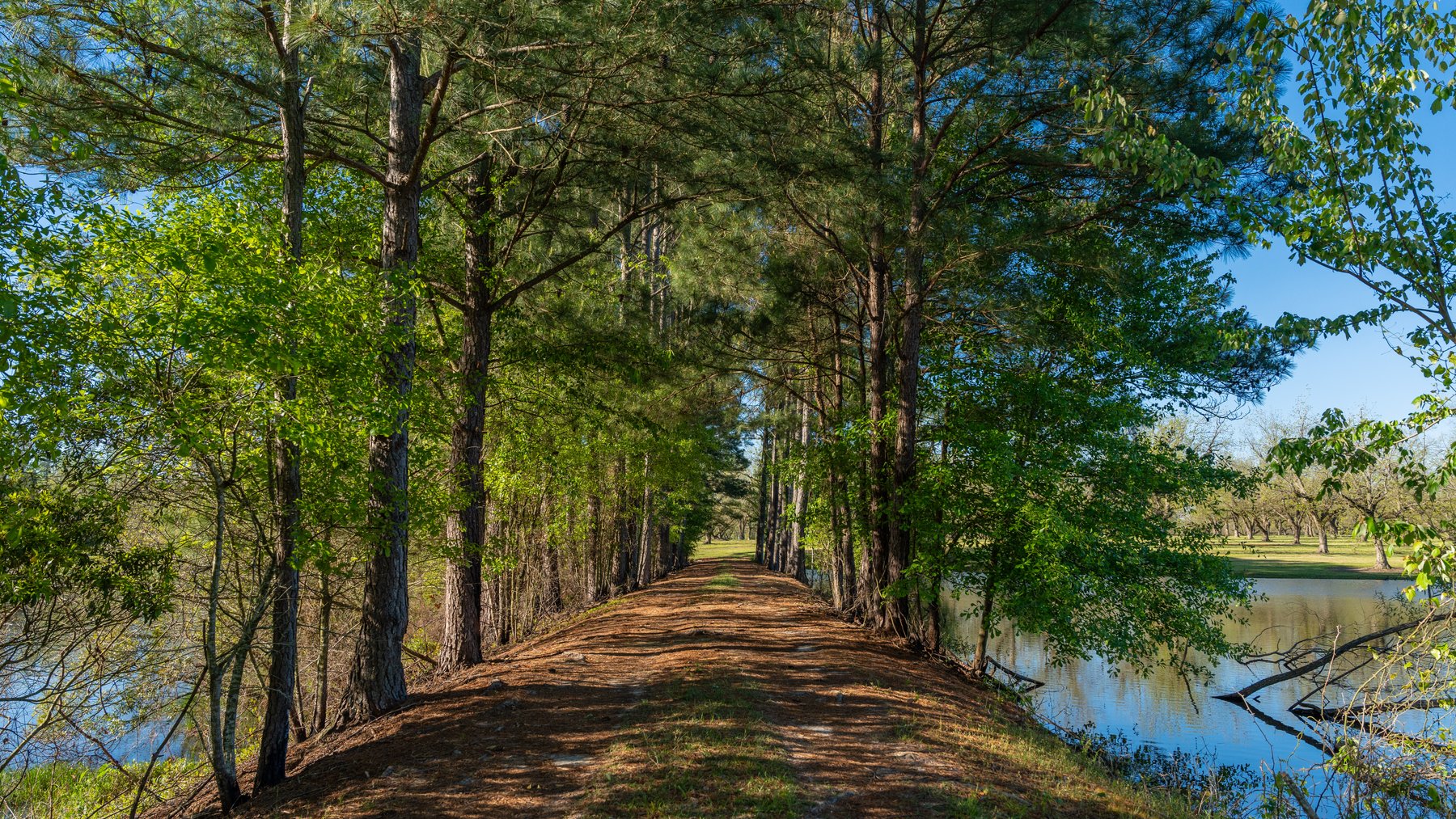 Image for 103+/- Acres - The Hand Tract - Weybrenee Farms