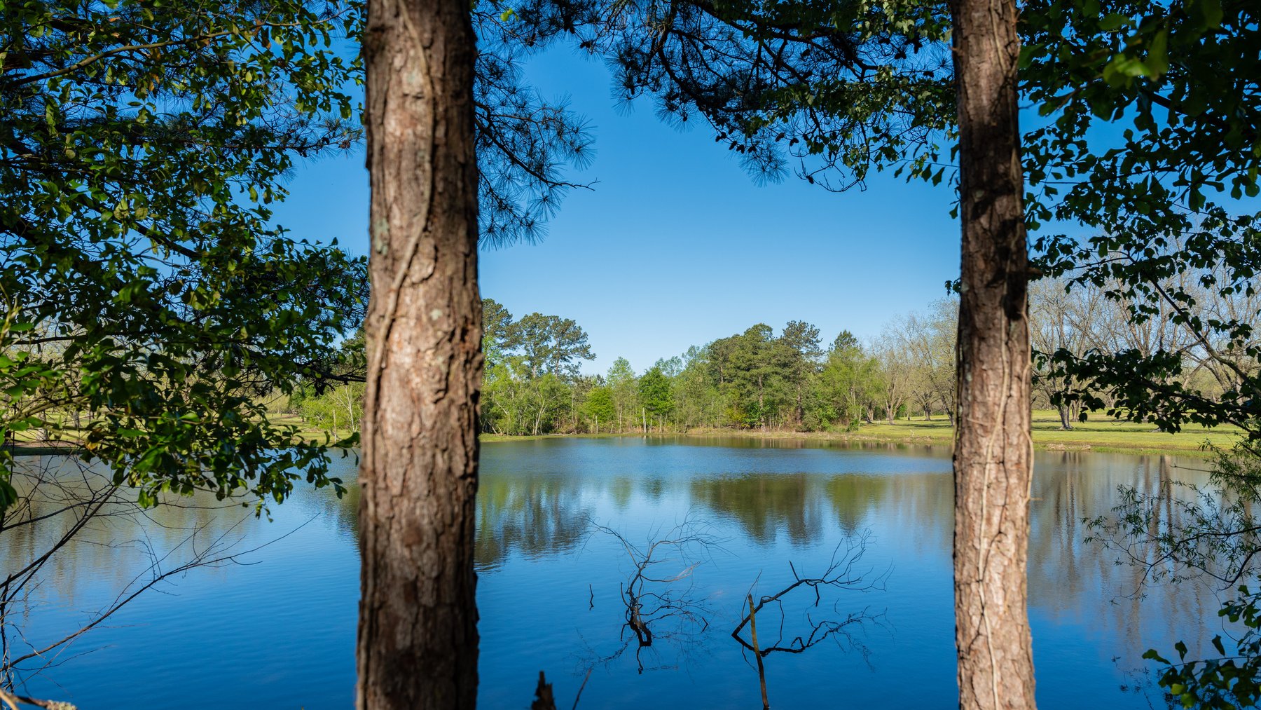 Image for 103+/- Acres - The Hand Tract - Weybrenee Farms