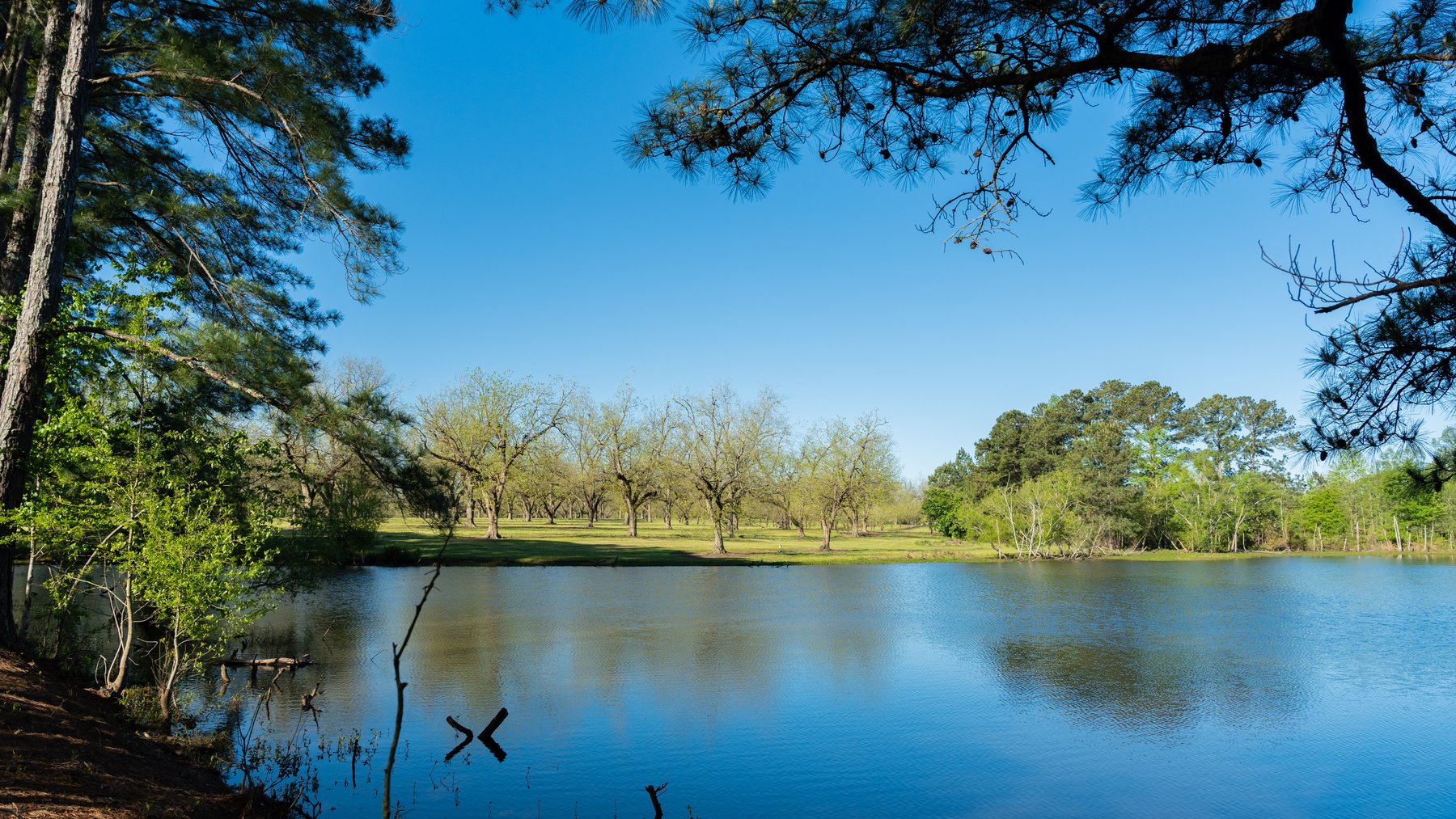 Image for 103+/- Acres - The Hand Tract - Weybrenee Farms