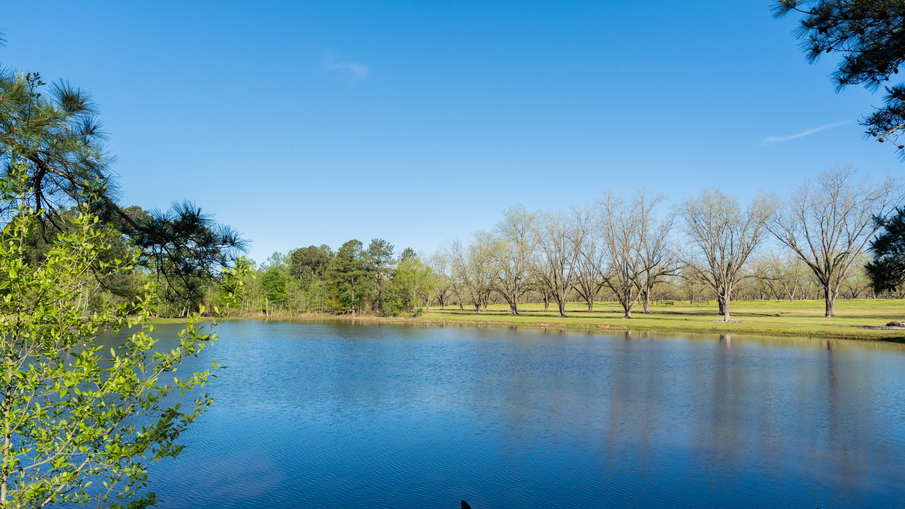Image for 103+/- Acres - The Hand Tract - Weybrenee Farms