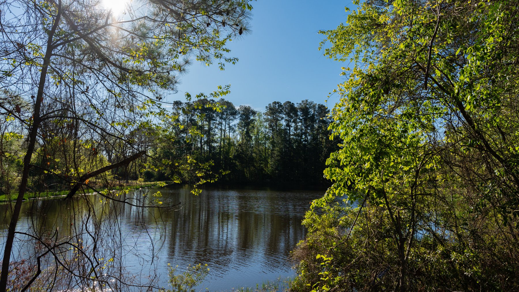 Image for 103+/- Acres - The Hand Tract - Weybrenee Farms