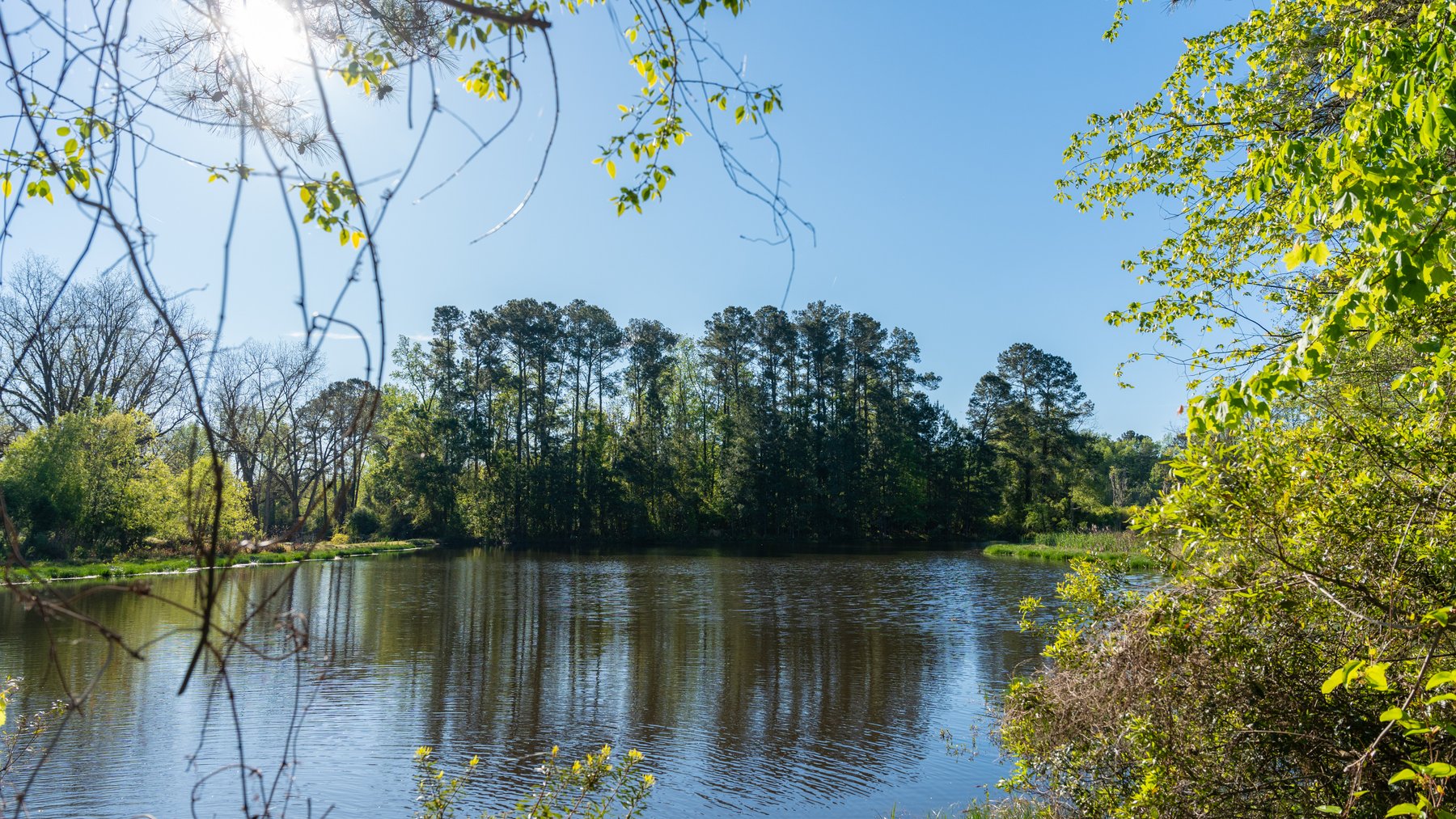 Image for 103+/- Acres - The Hand Tract - Weybrenee Farms