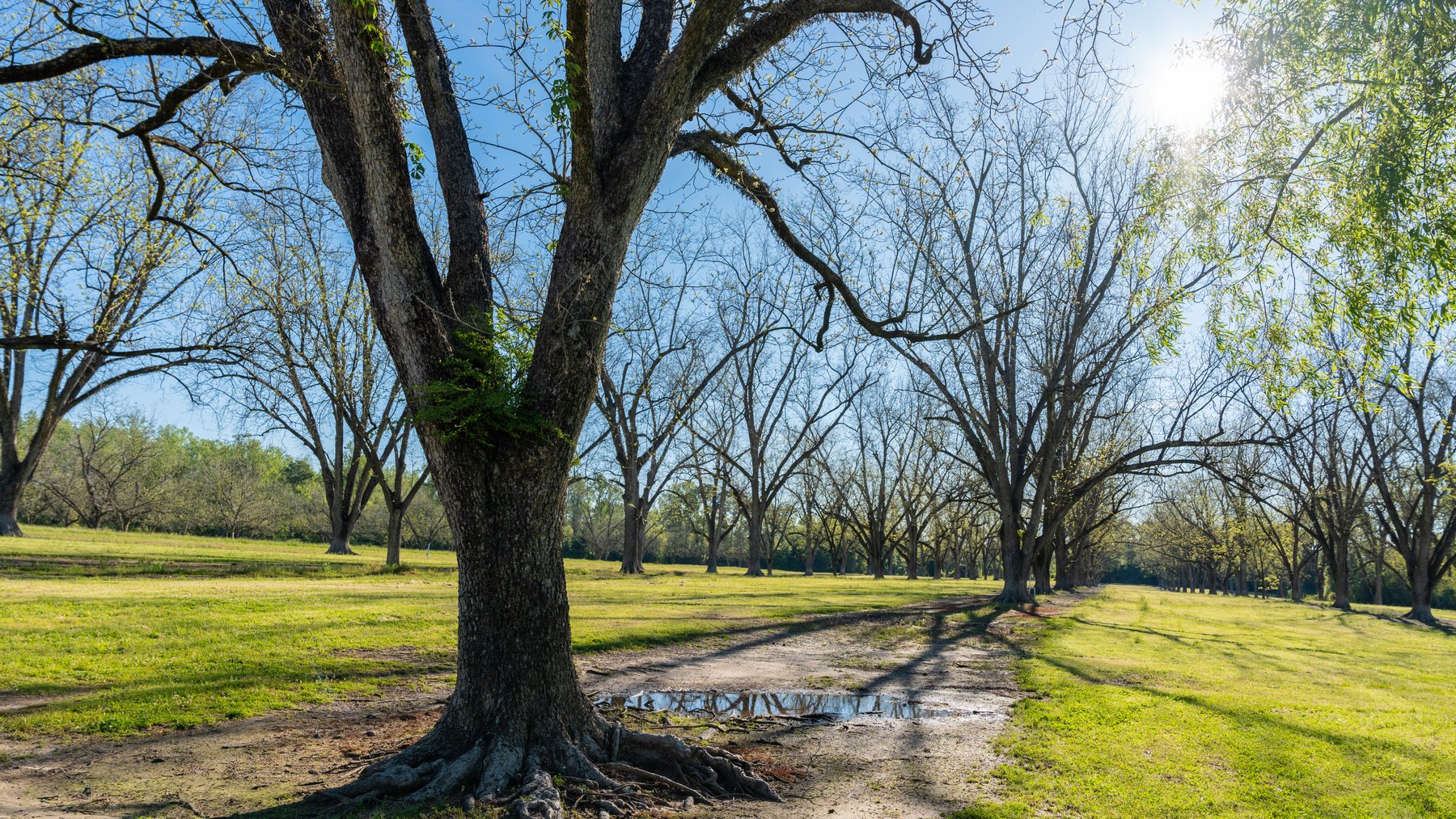 Image for 103+/- Acres - The Hand Tract - Weybrenee Farms