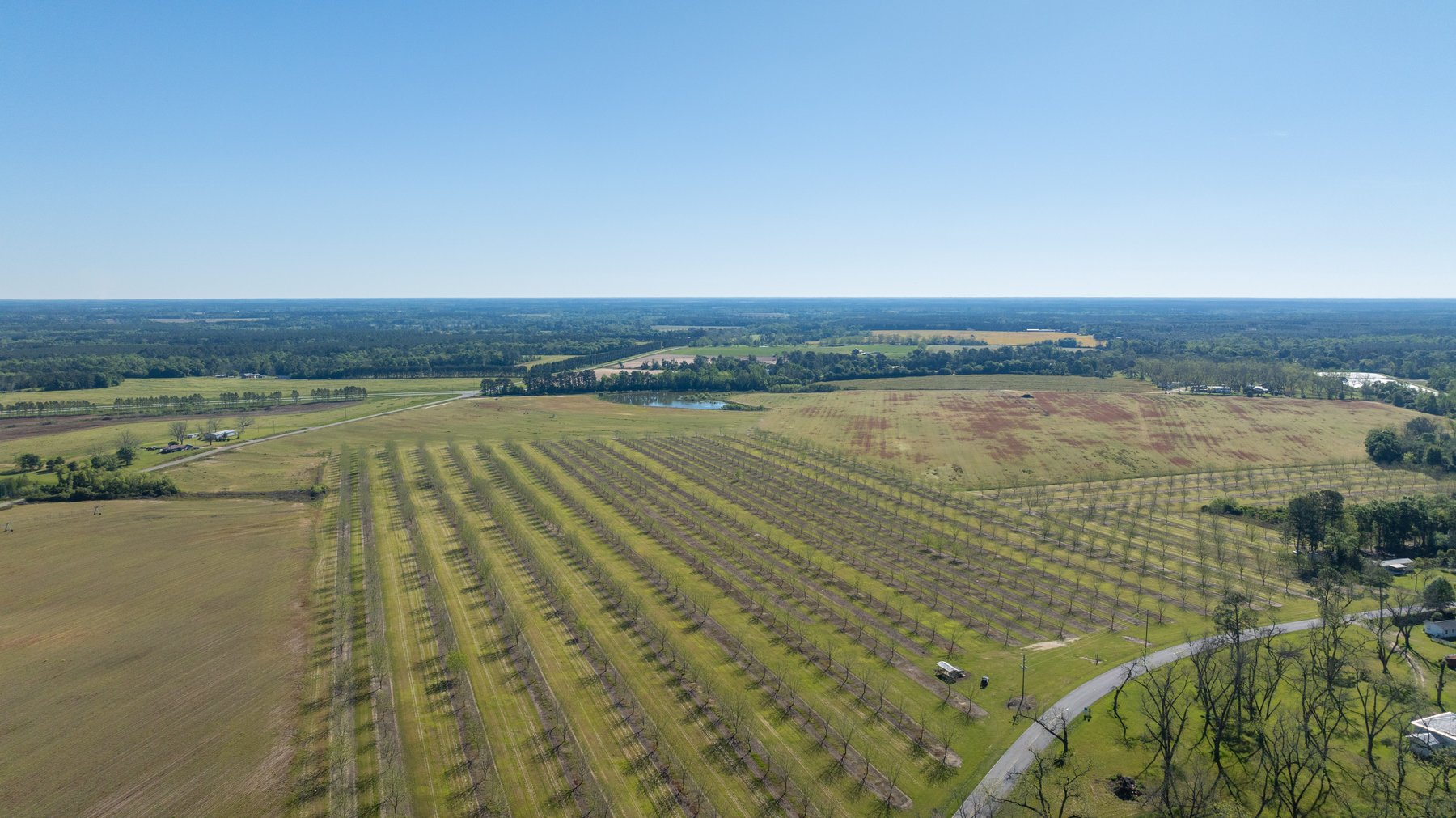 Image for 58+/- Acres - The Sealy Tract - Weybrenee Farms