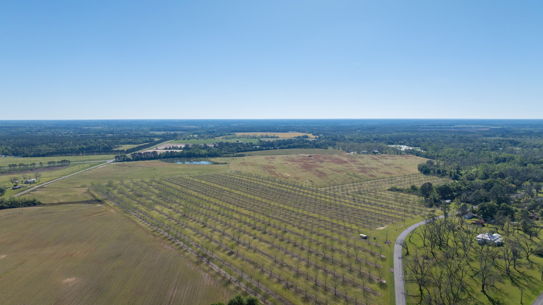 Image for 58+/- Acres - The Sealy Tract - Weybrenee Farms