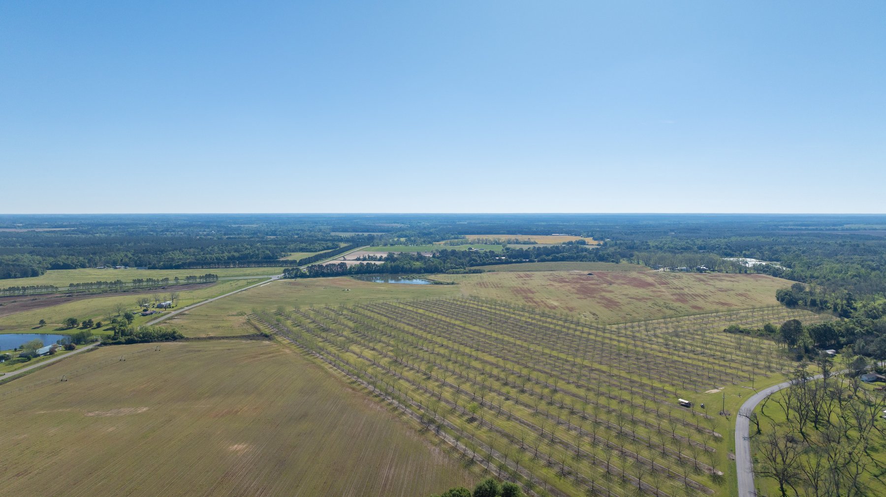 Image for 58+/- Acres - The Sealy Tract - Weybrenee Farms