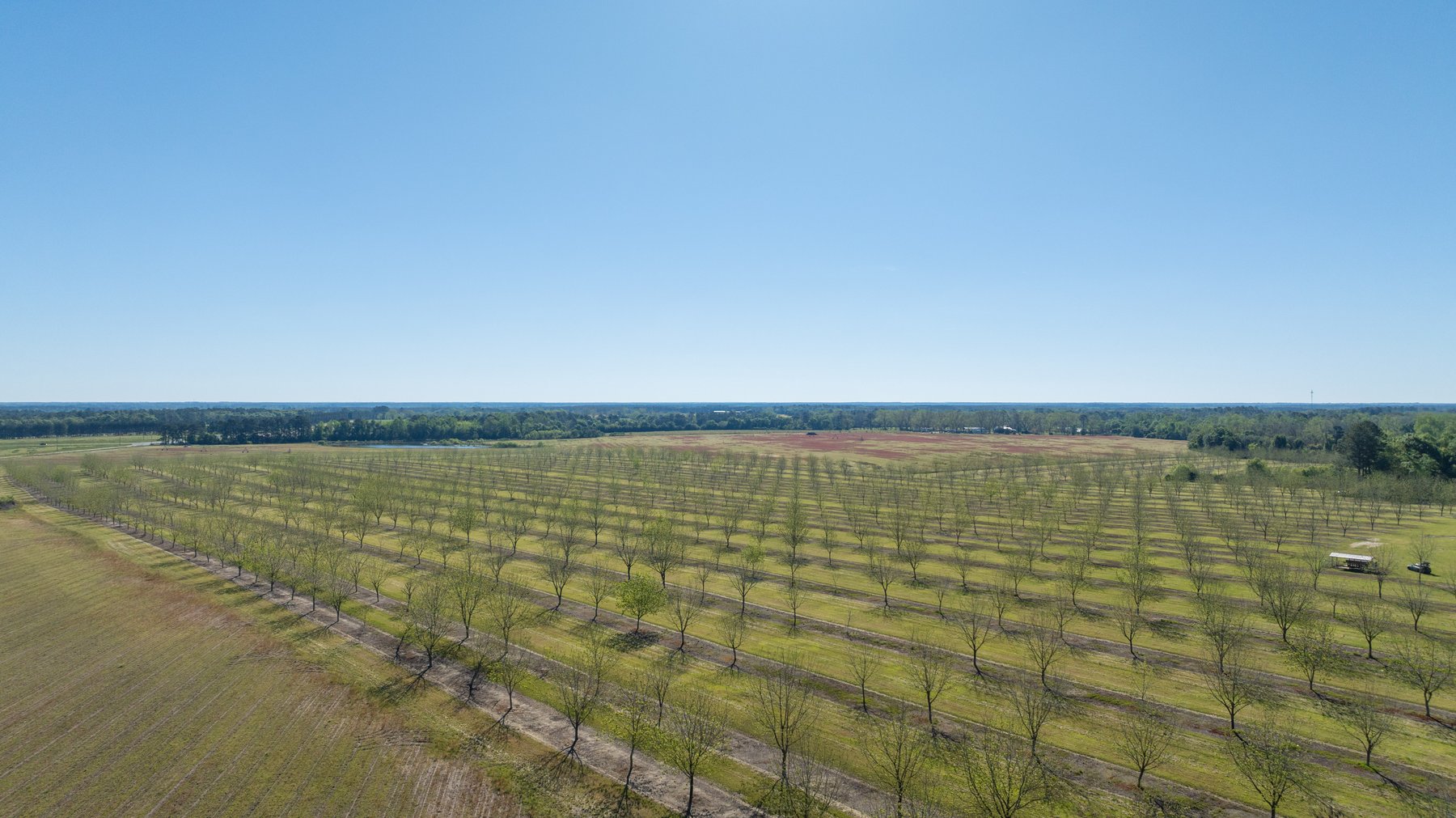 Image for 58+/- Acres - The Sealy Tract - Weybrenee Farms