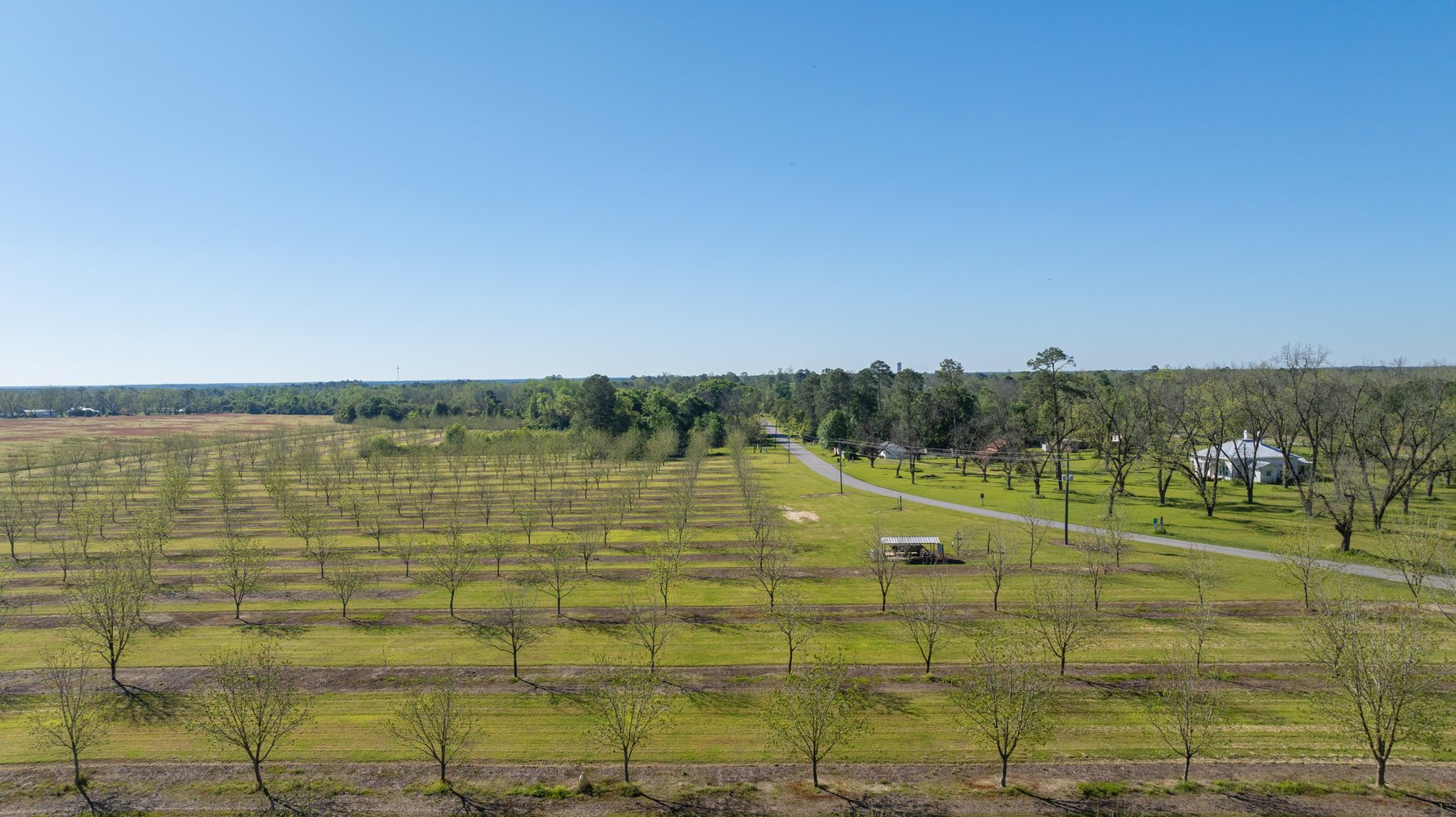 Image for 58+/- Acres - The Sealy Tract - Weybrenee Farms