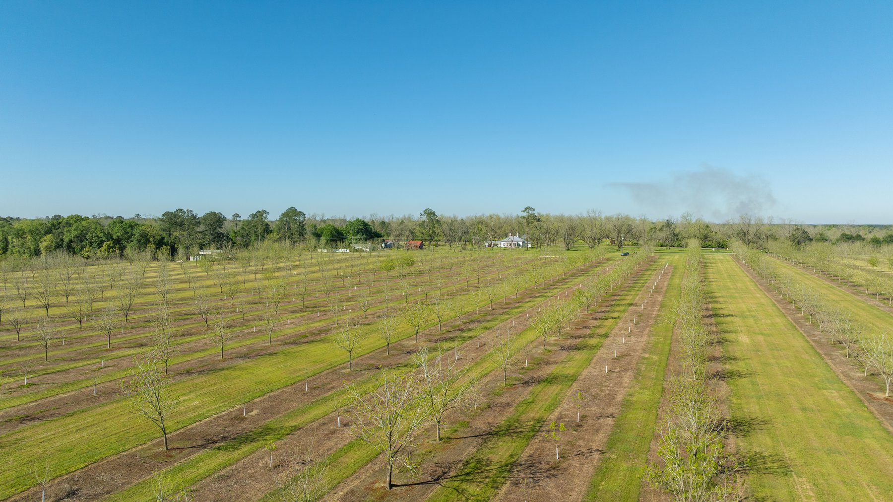 Image for 58+/- Acres - The Sealy Tract - Weybrenee Farms