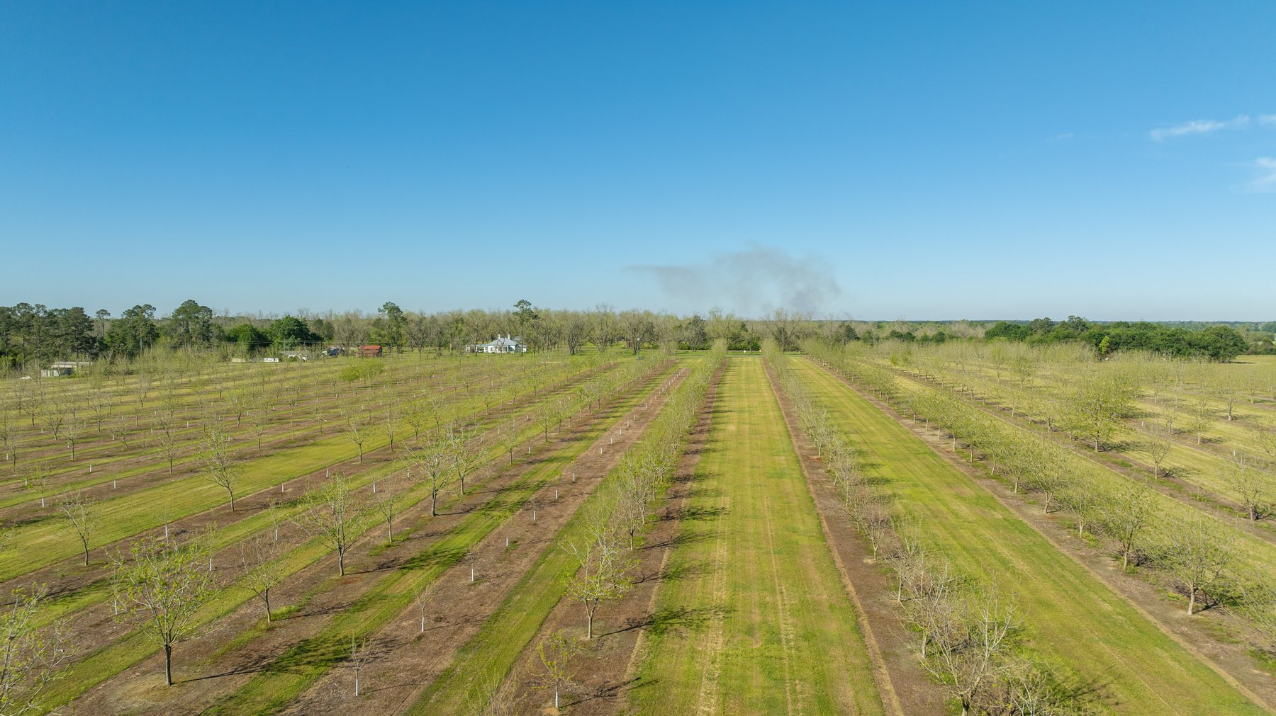 Image for 58+/- Acres - The Sealy Tract - Weybrenee Farms