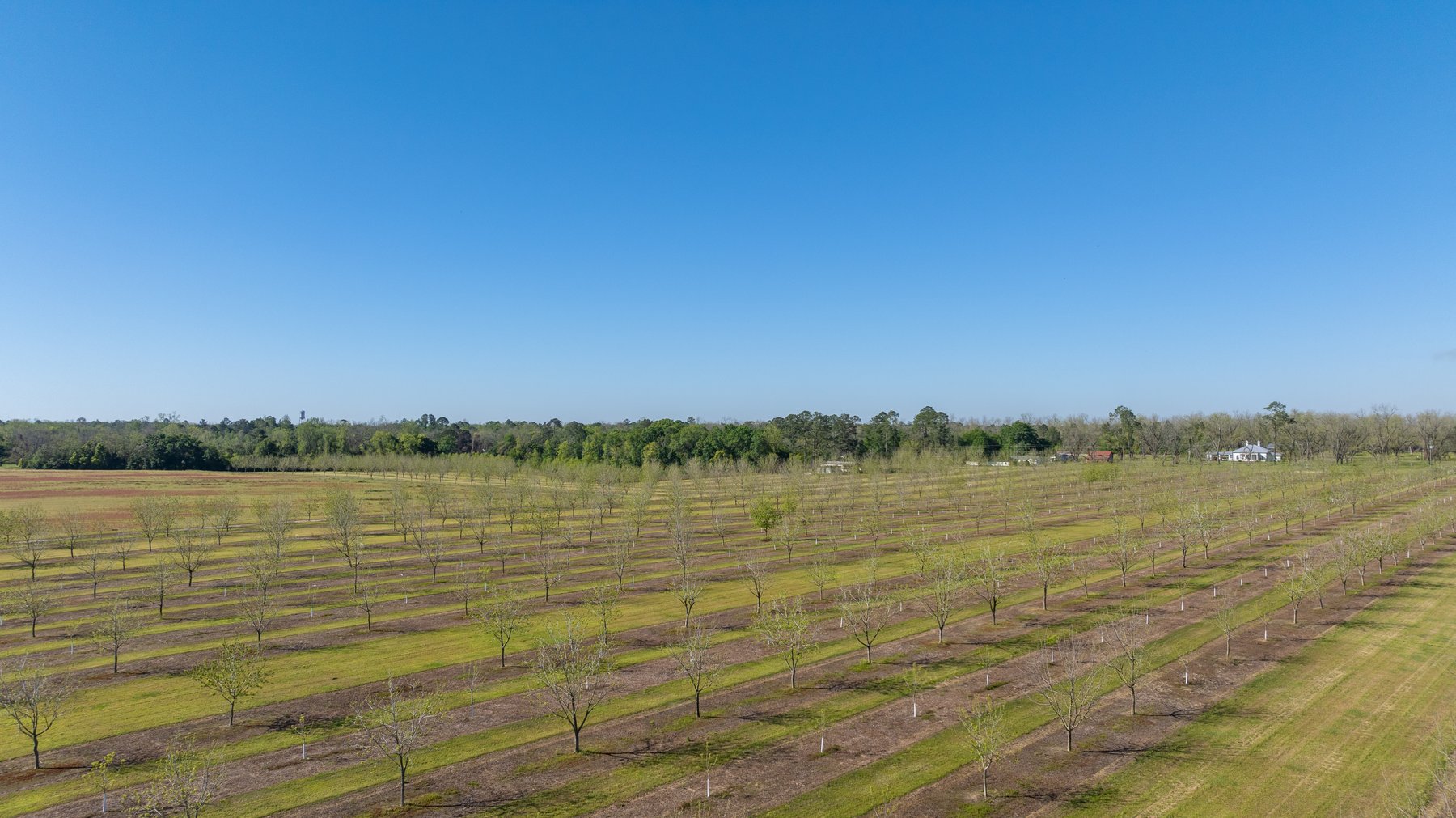 Image for 58+/- Acres - The Sealy Tract - Weybrenee Farms