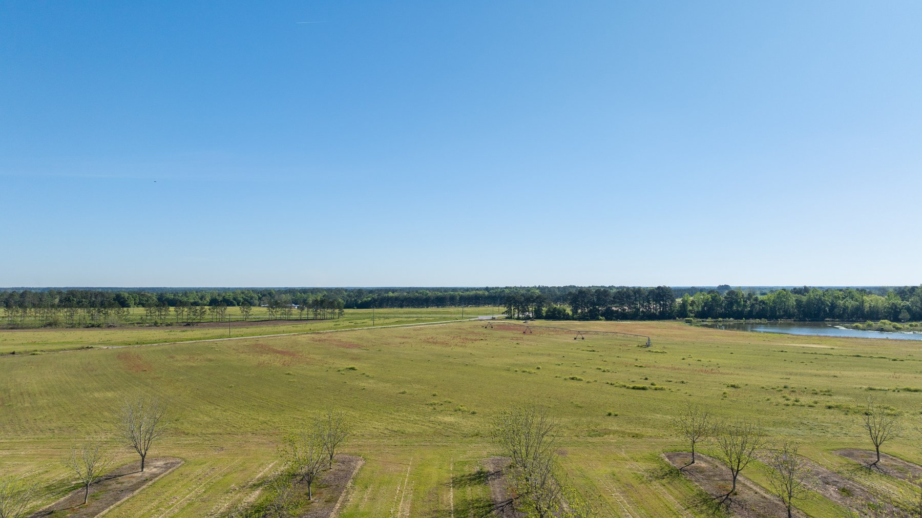 Image for 58+/- Acres - The Sealy Tract - Weybrenee Farms