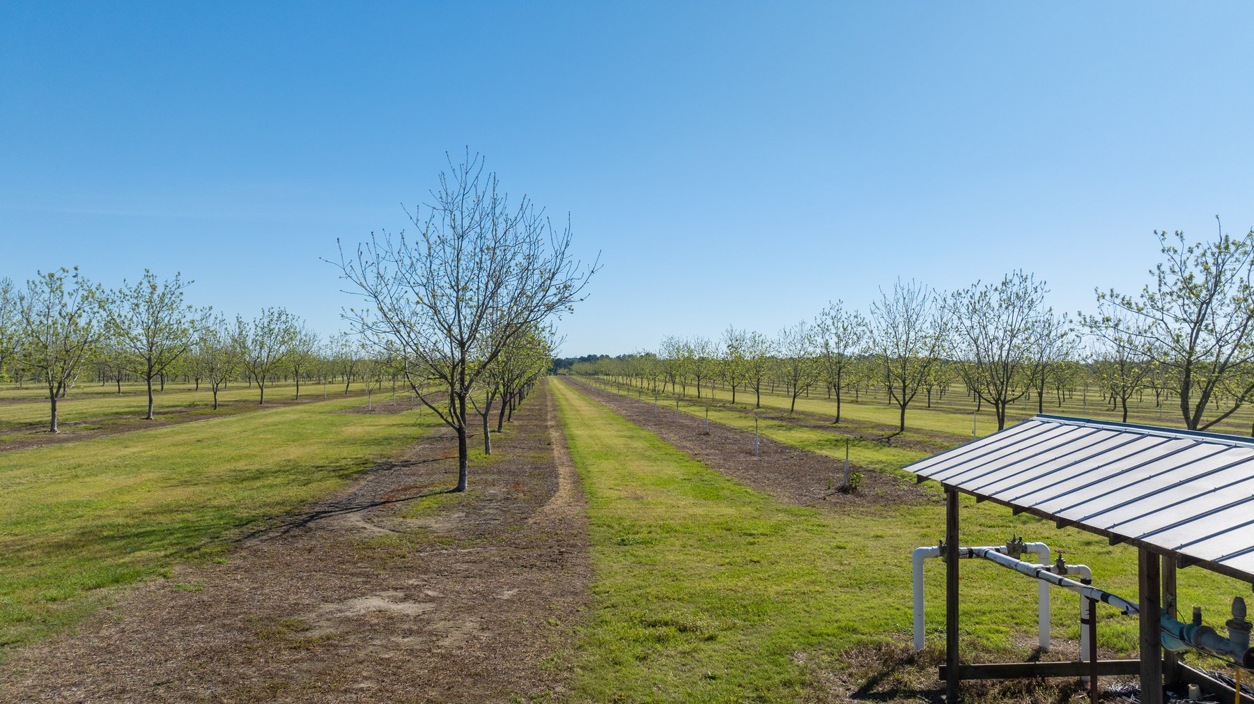 Image for 58+/- Acres - The Sealy Tract - Weybrenee Farms