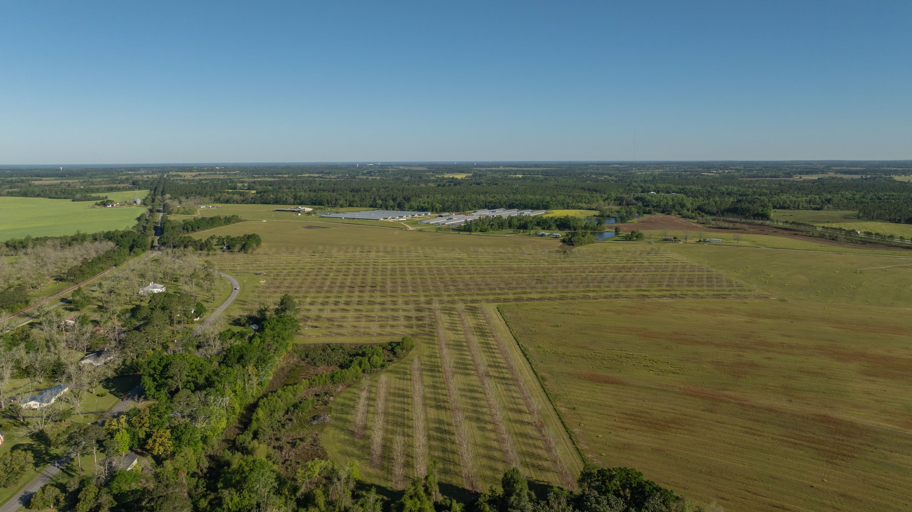 Image for 58+/- Acres - The Sealy Tract - Weybrenee Farms