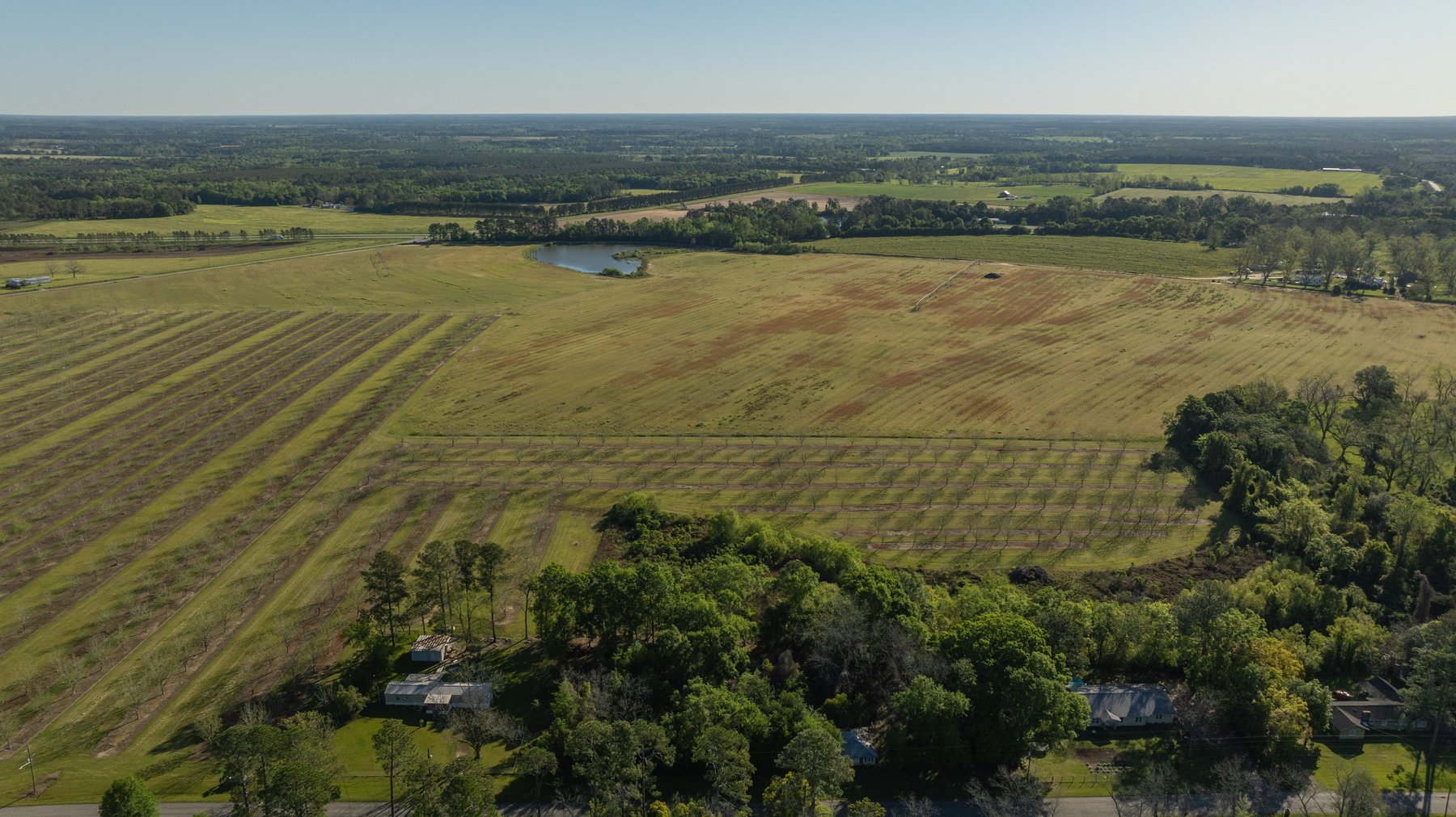 Image for 58+/- Acres - The Sealy Tract - Weybrenee Farms