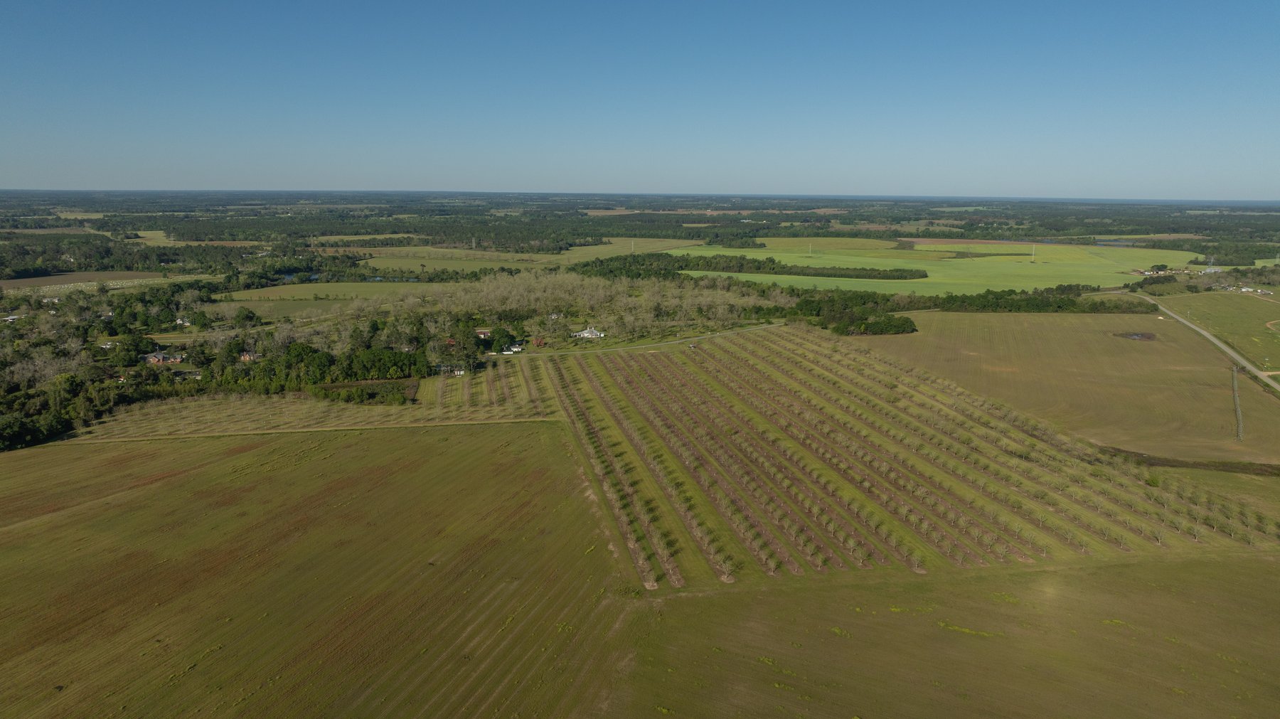 Image for 58+/- Acres - The Sealy Tract - Weybrenee Farms