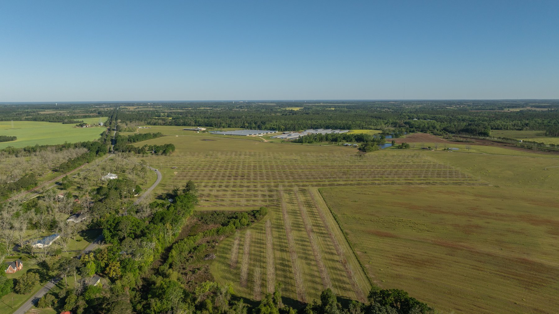 Image for 58+/- Acres - The Sealy Tract - Weybrenee Farms