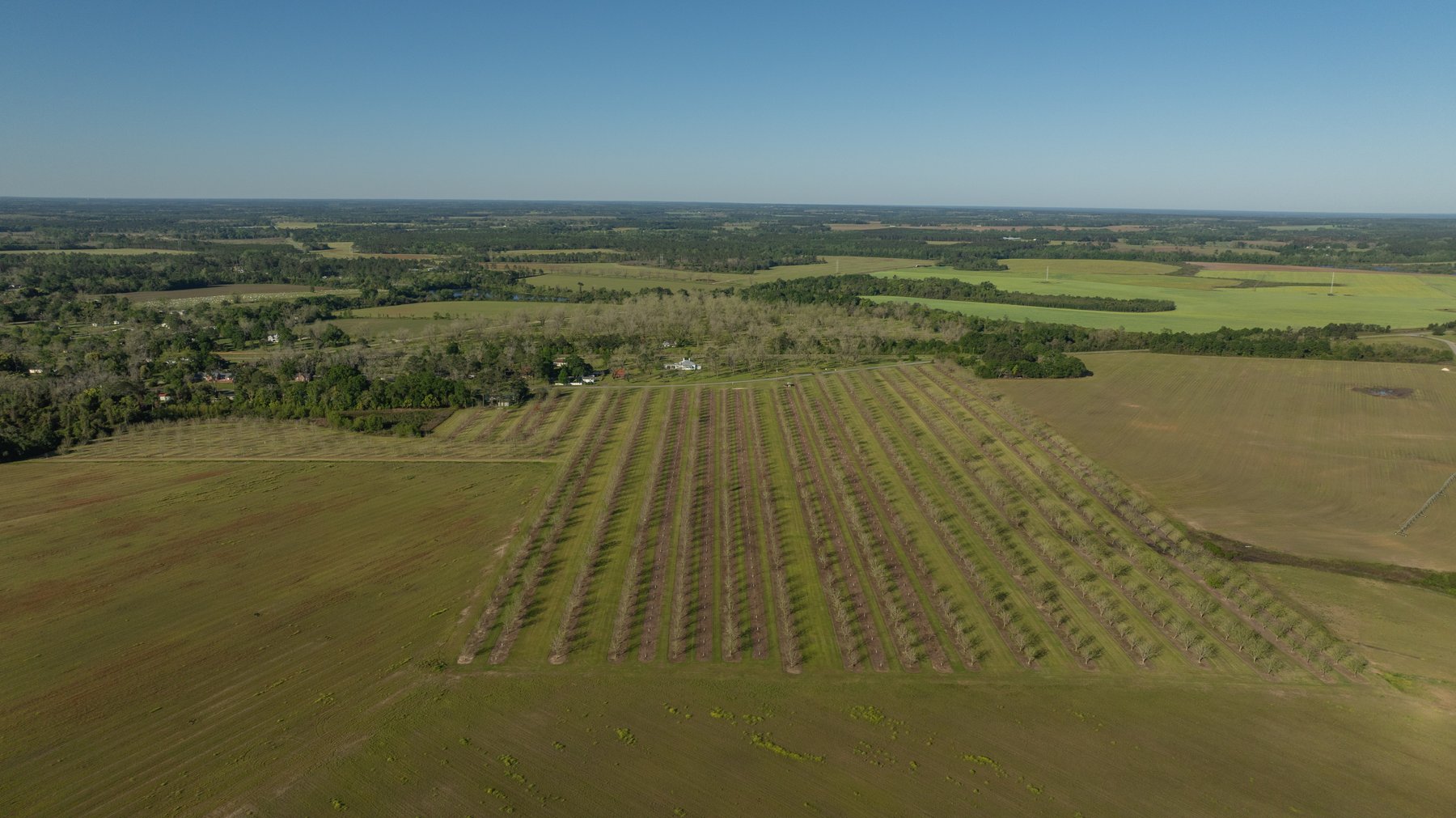 Image for 58+/- Acres - The Sealy Tract - Weybrenee Farms