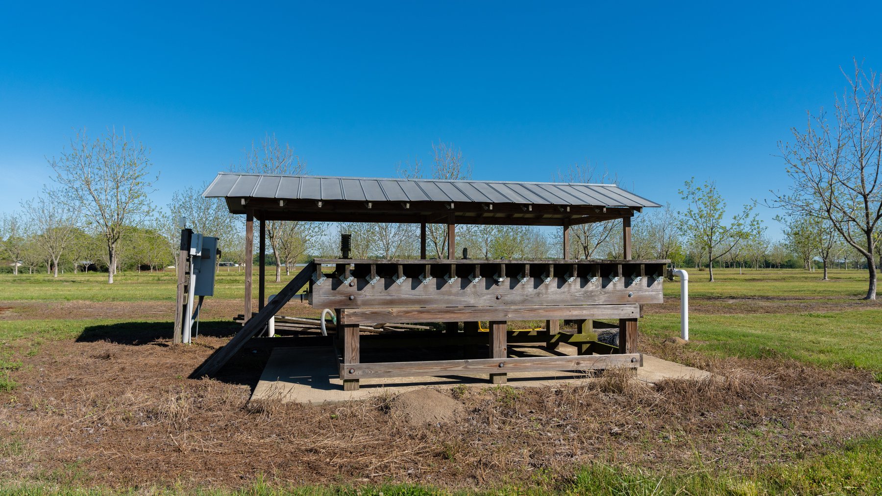 Image for 58+/- Acres - The Sealy Tract - Weybrenee Farms