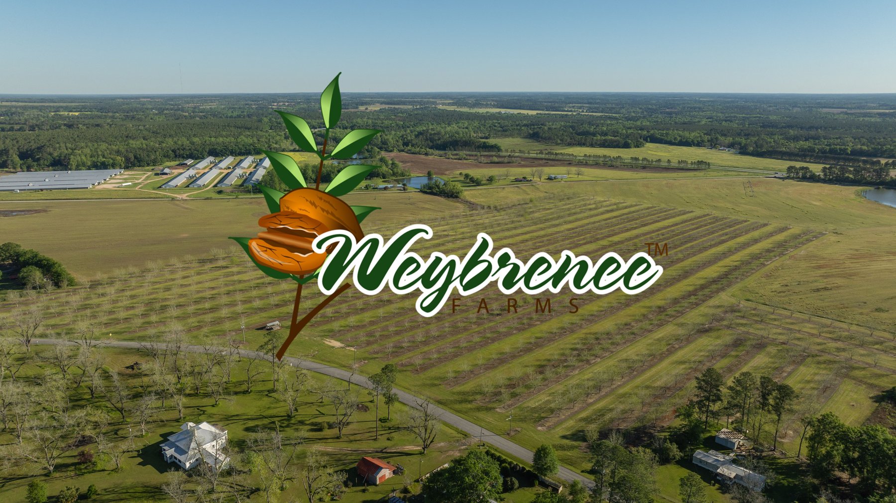 Image for 58+/- Acres - The Sealy Tract - Weybrenee Farms