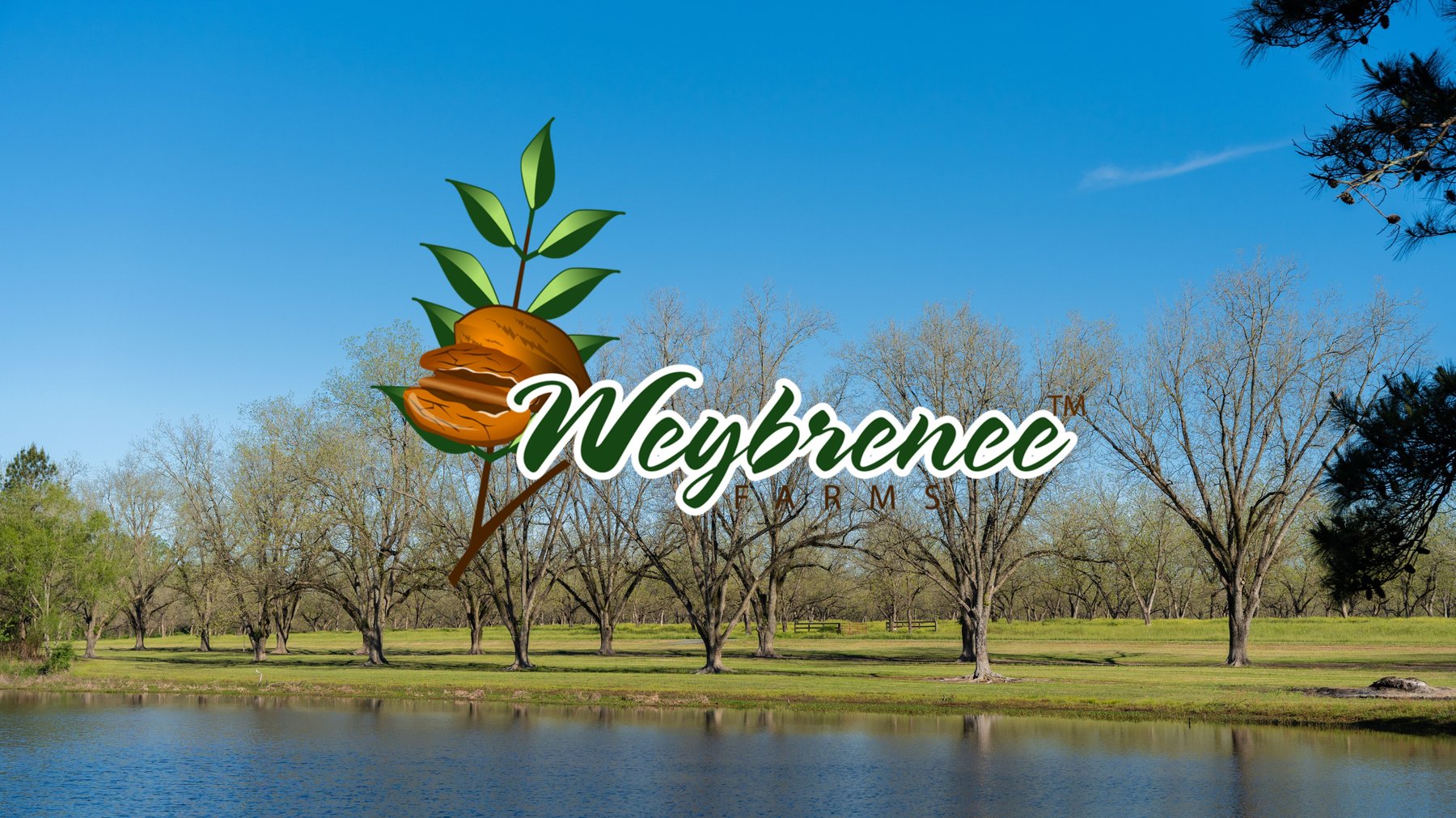 Image for 103+/- Acres - The Hand Tract - Weybrenee Farms