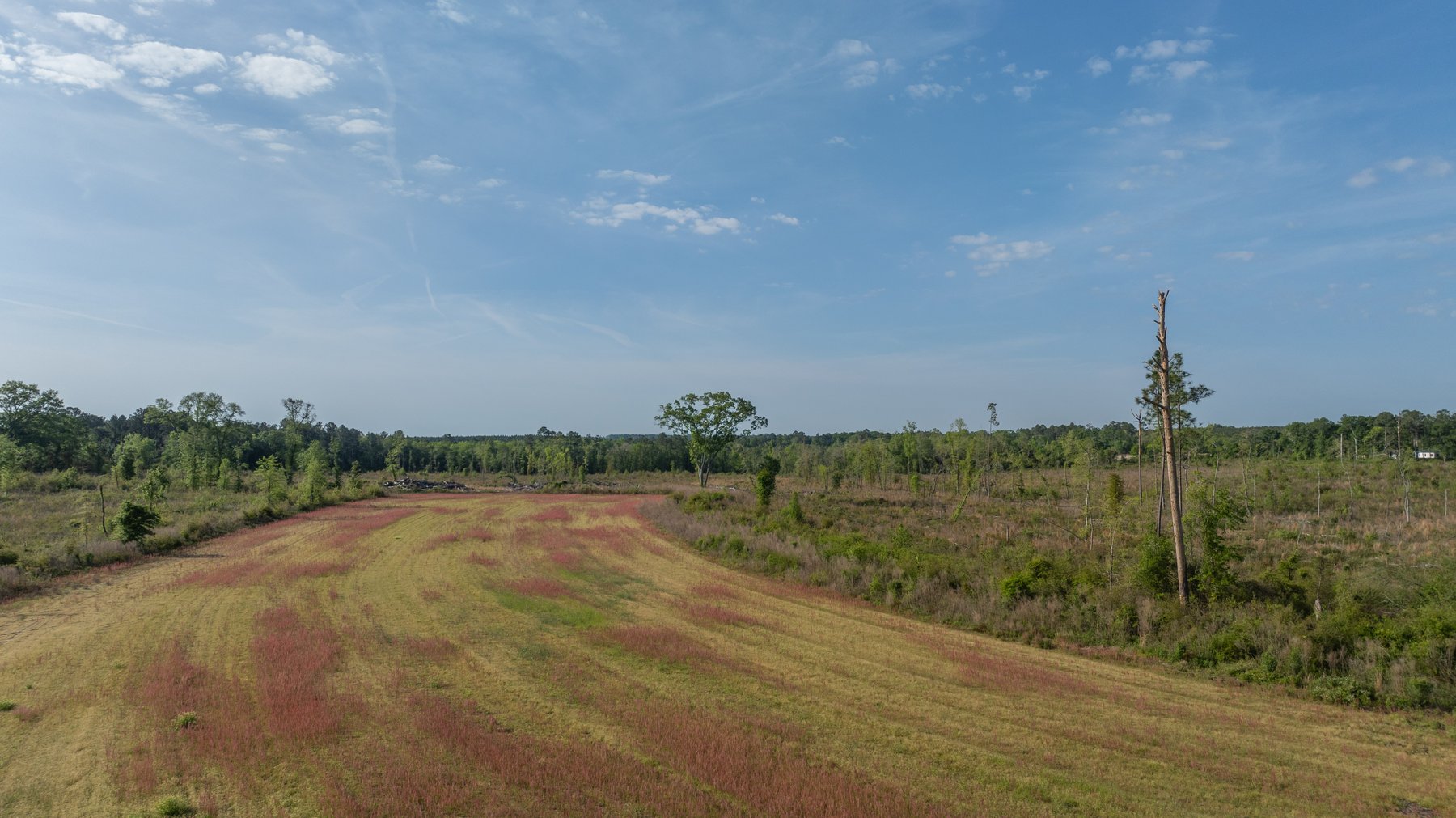 Image for 118+/- Acres - Fowl Hill Farms - Mixed Use Recreational Property w/ Row Crop Farmland